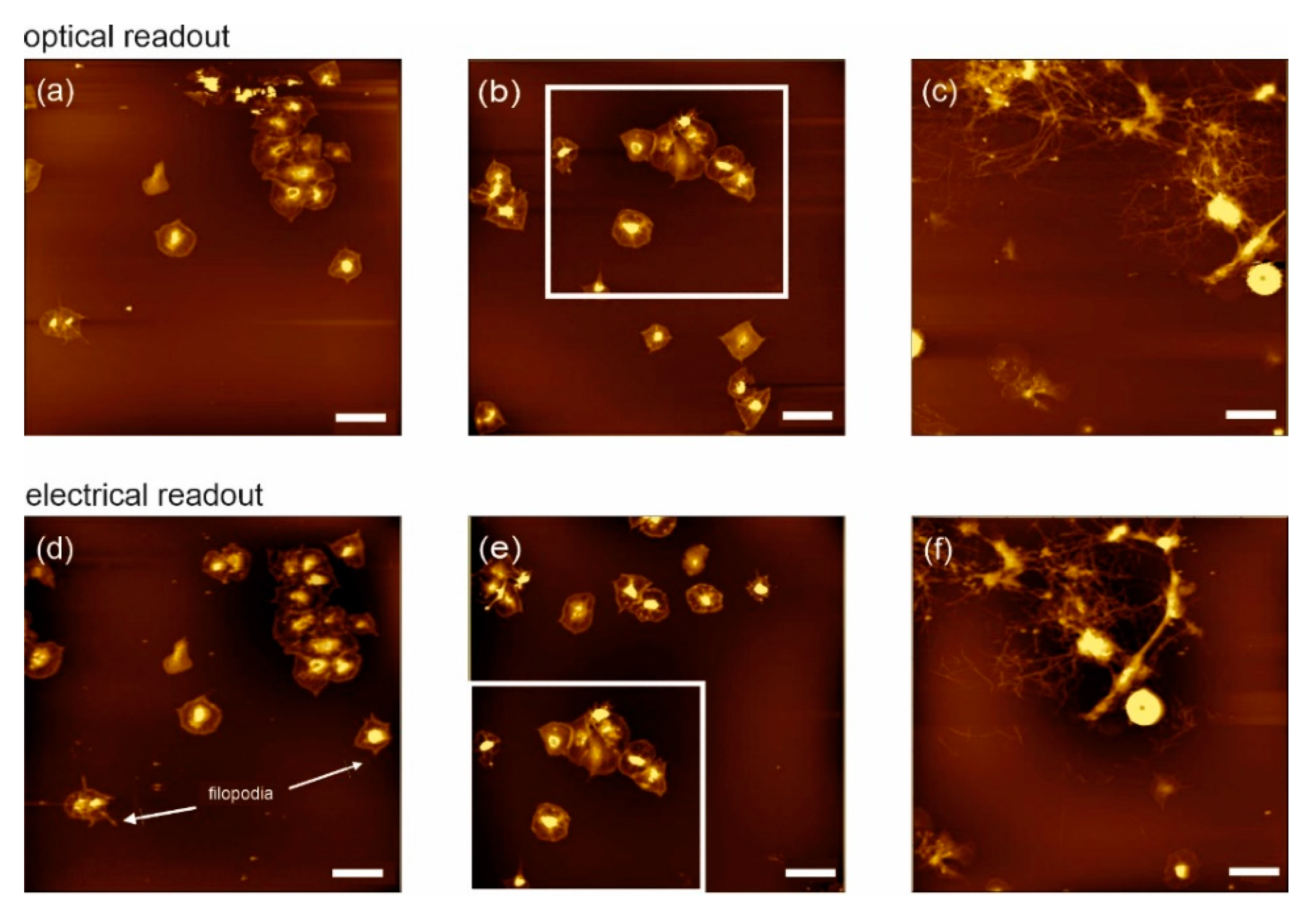 Sensors 20 03715 g002