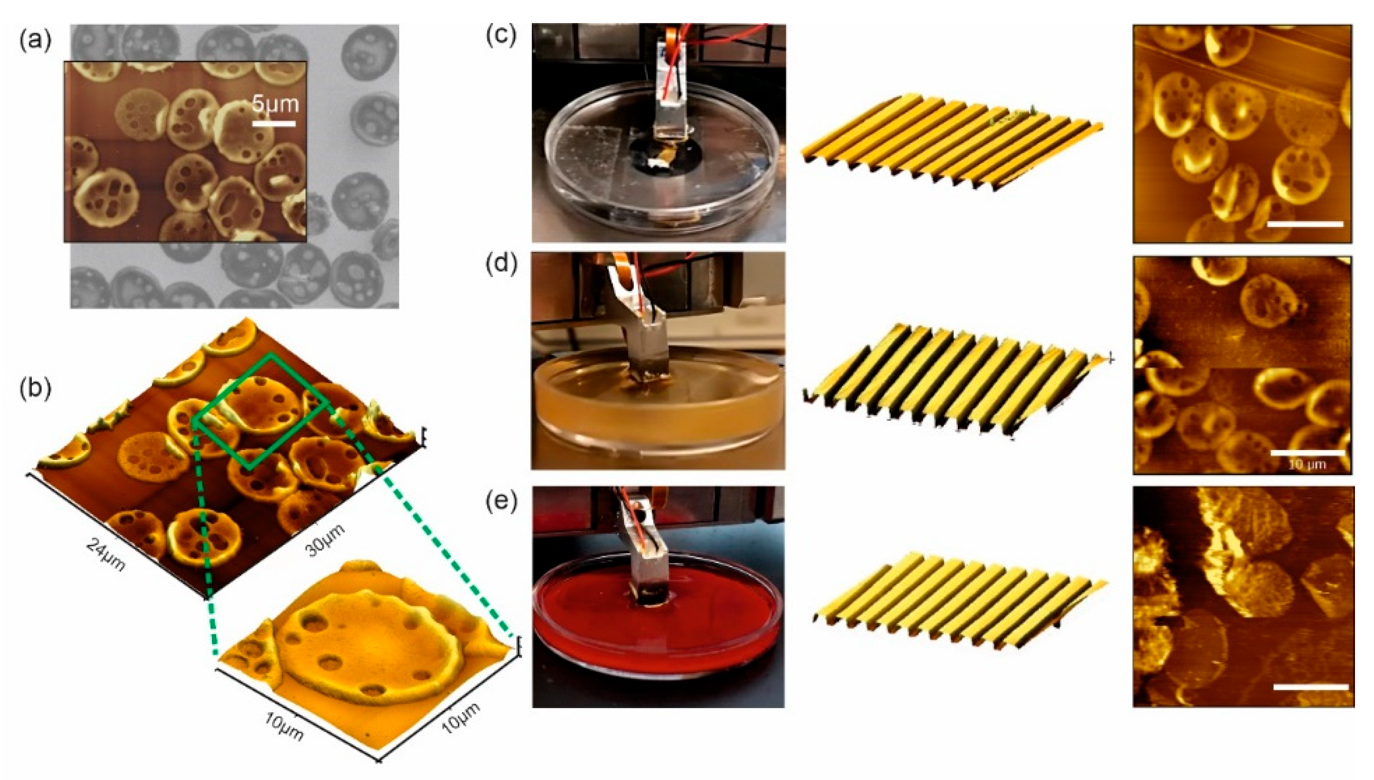 Sensors 20 03715 g003