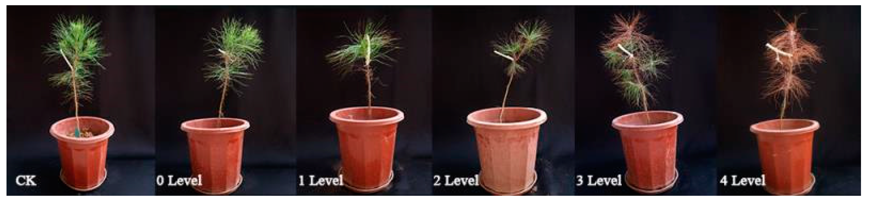 Sensors 20 03729 g001