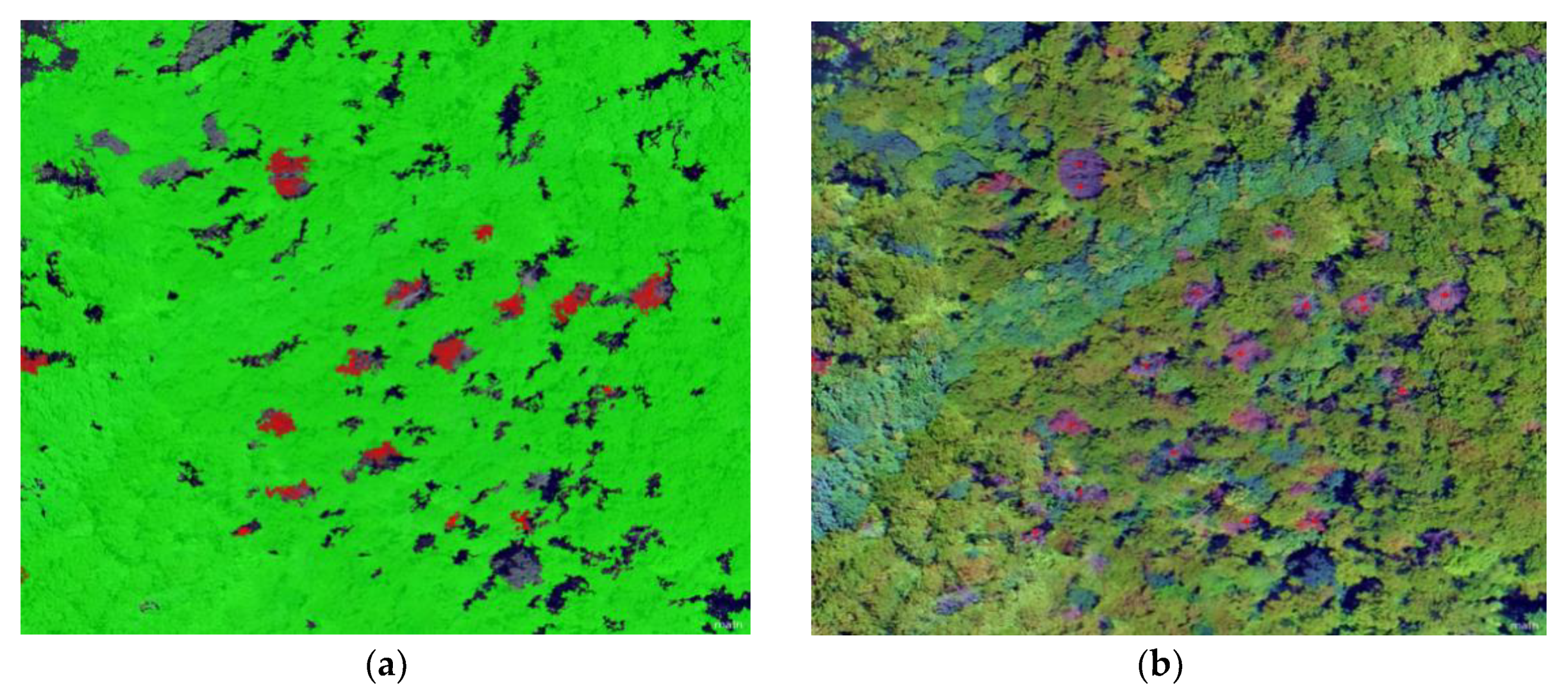 Sensors 20 03729 g003