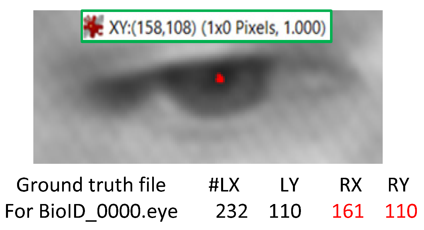 Sensors 20 03785 g007