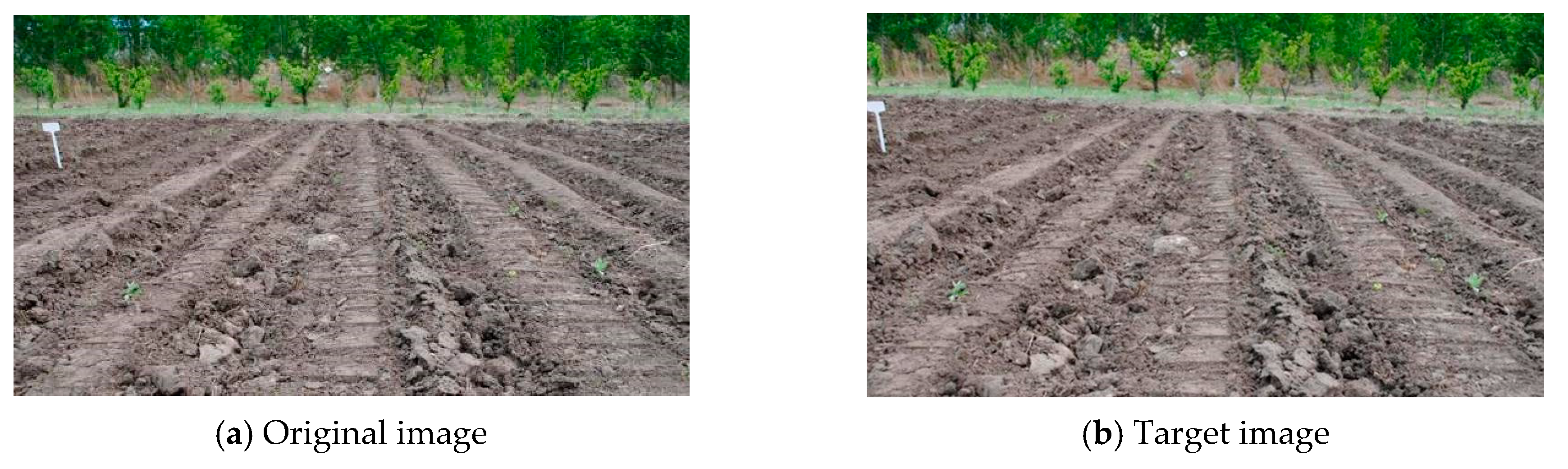 Sensors 20 03799 g002