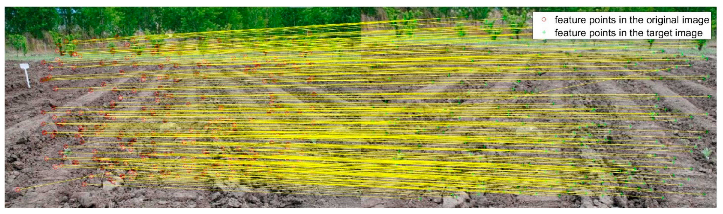 Sensors 20 03799 g004