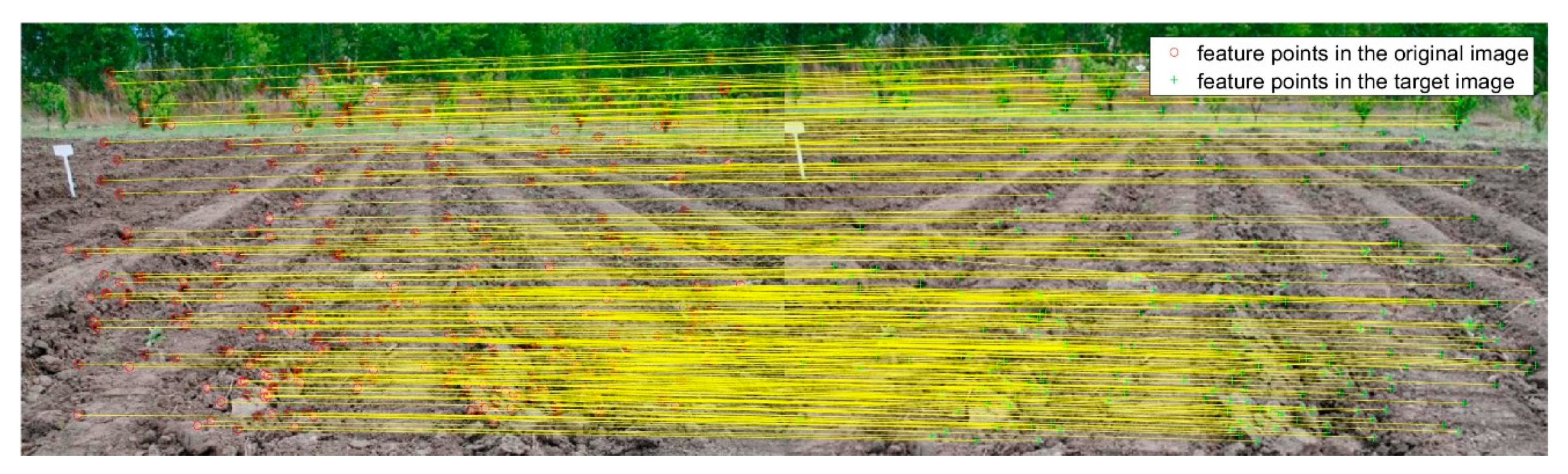 Sensors 20 03799 g005