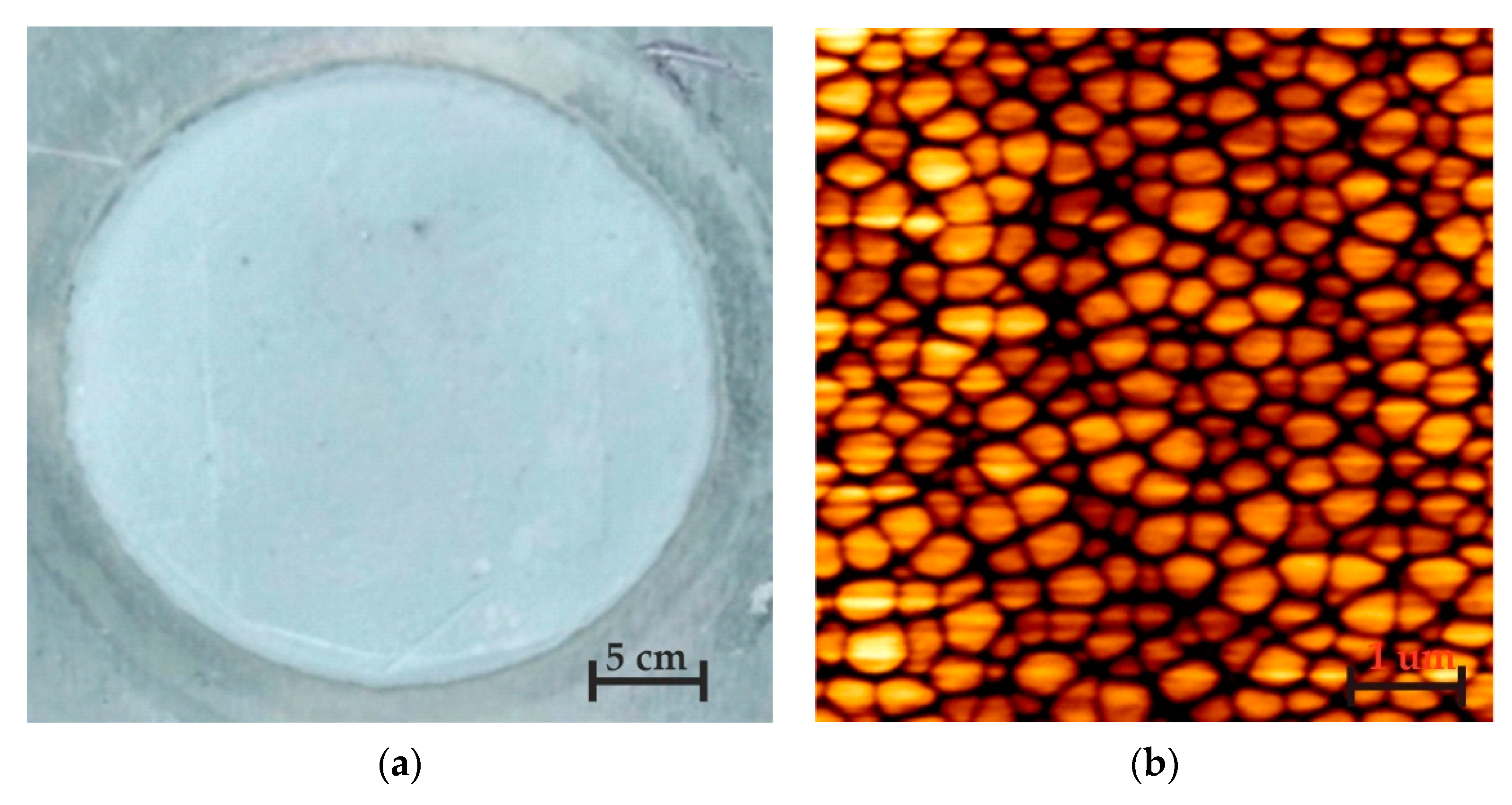 Sensors 20 03833 g006