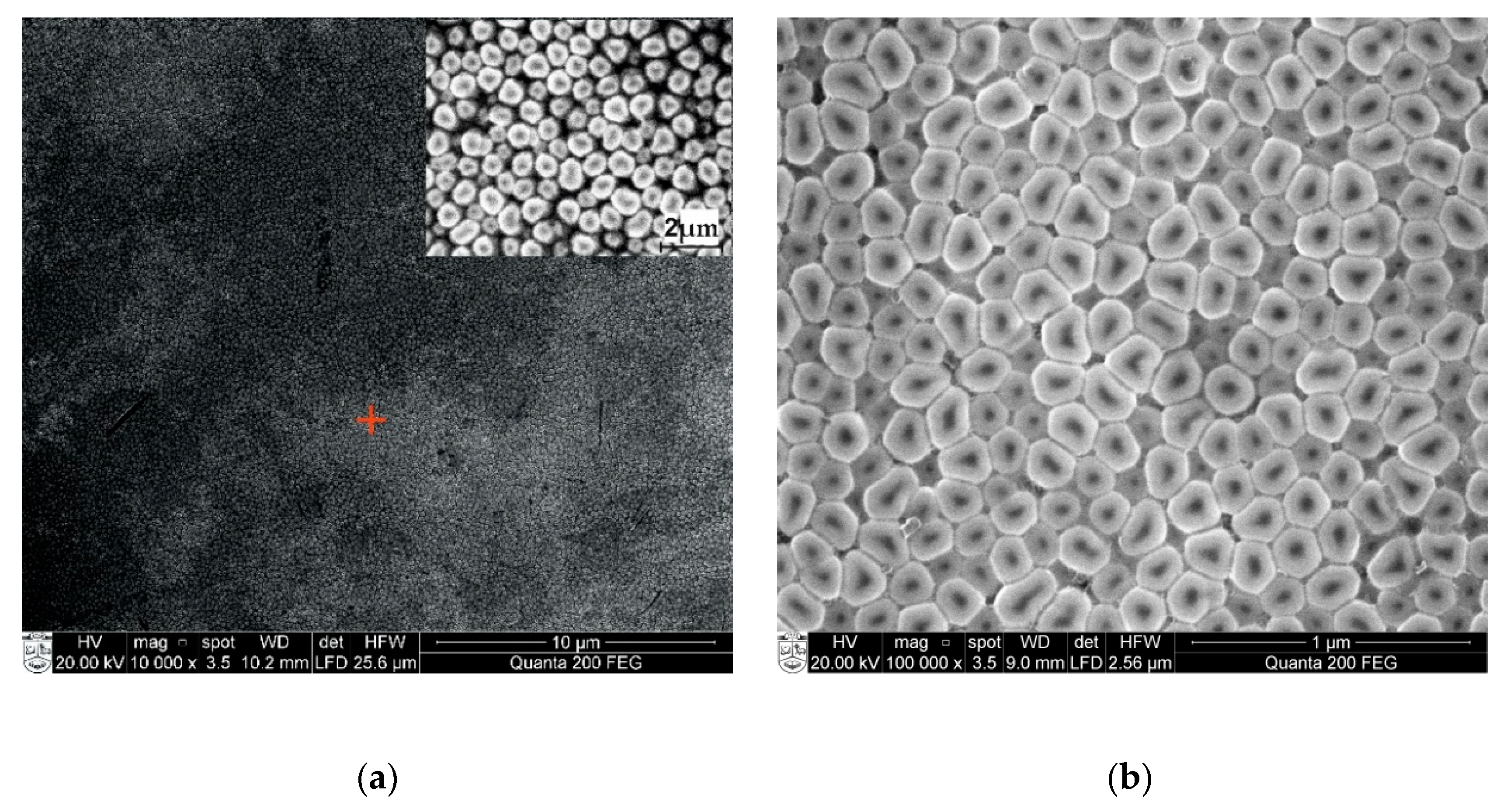 Sensors 20 03833 g008