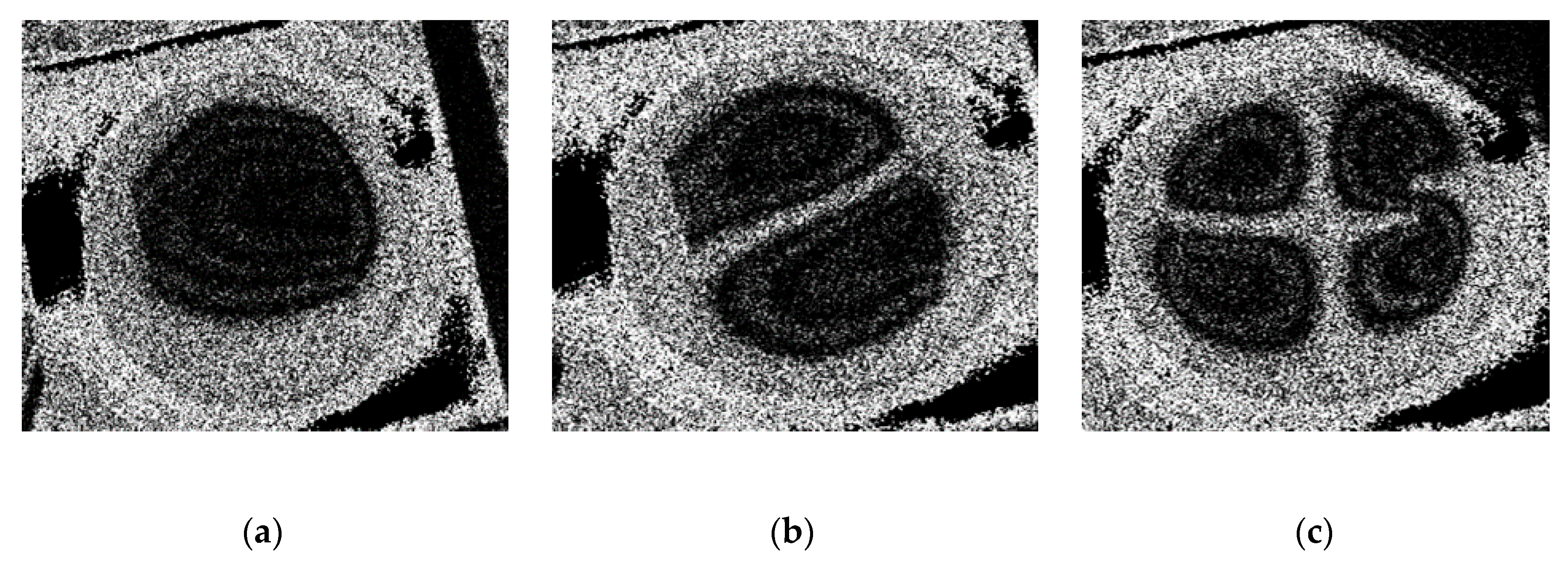 Sensors 20 03833 g023