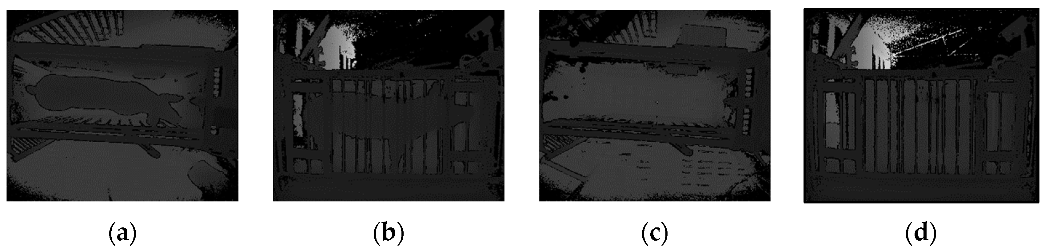 Sensors 20 03848 g002