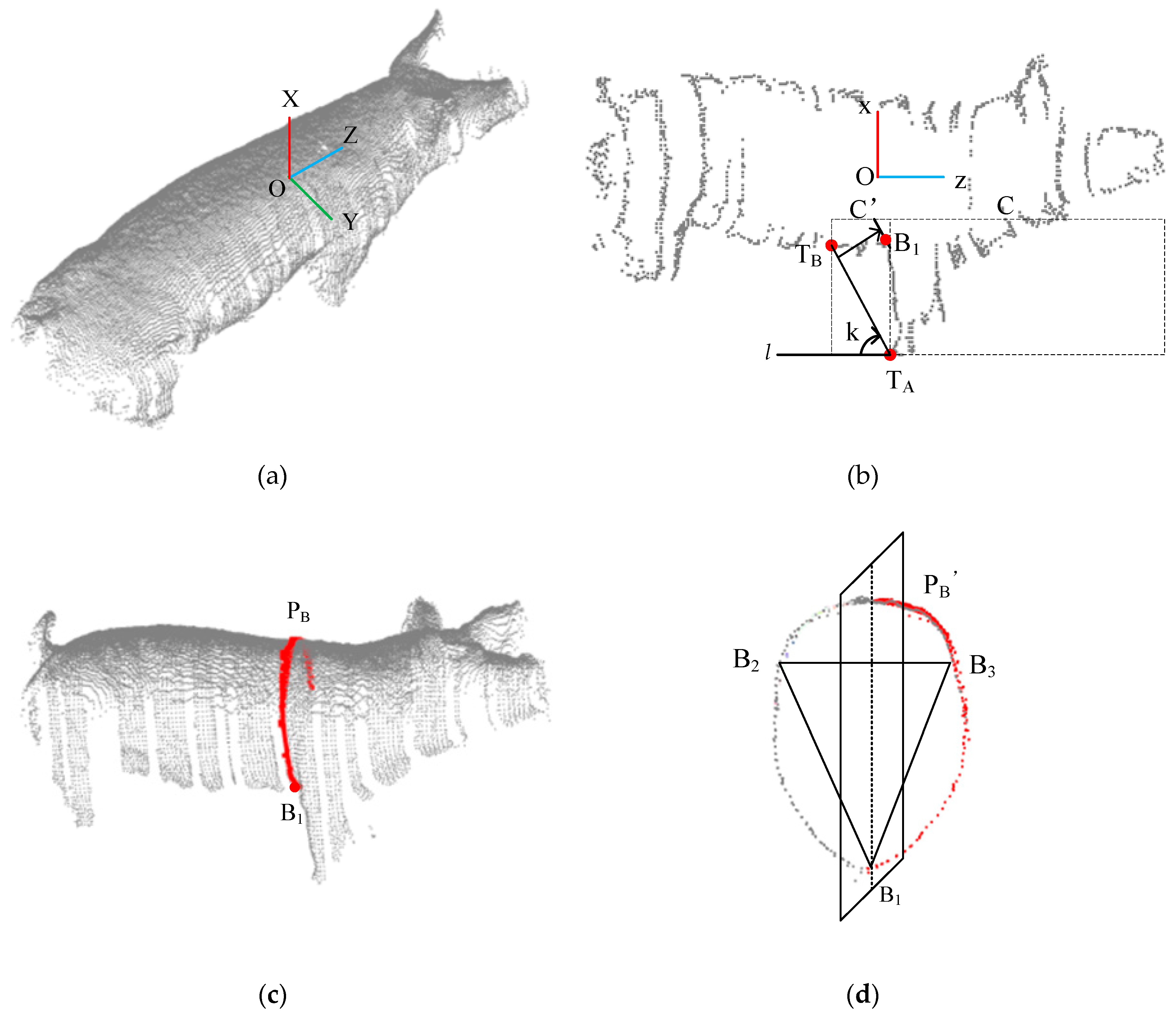 Sensors 20 03848 g005