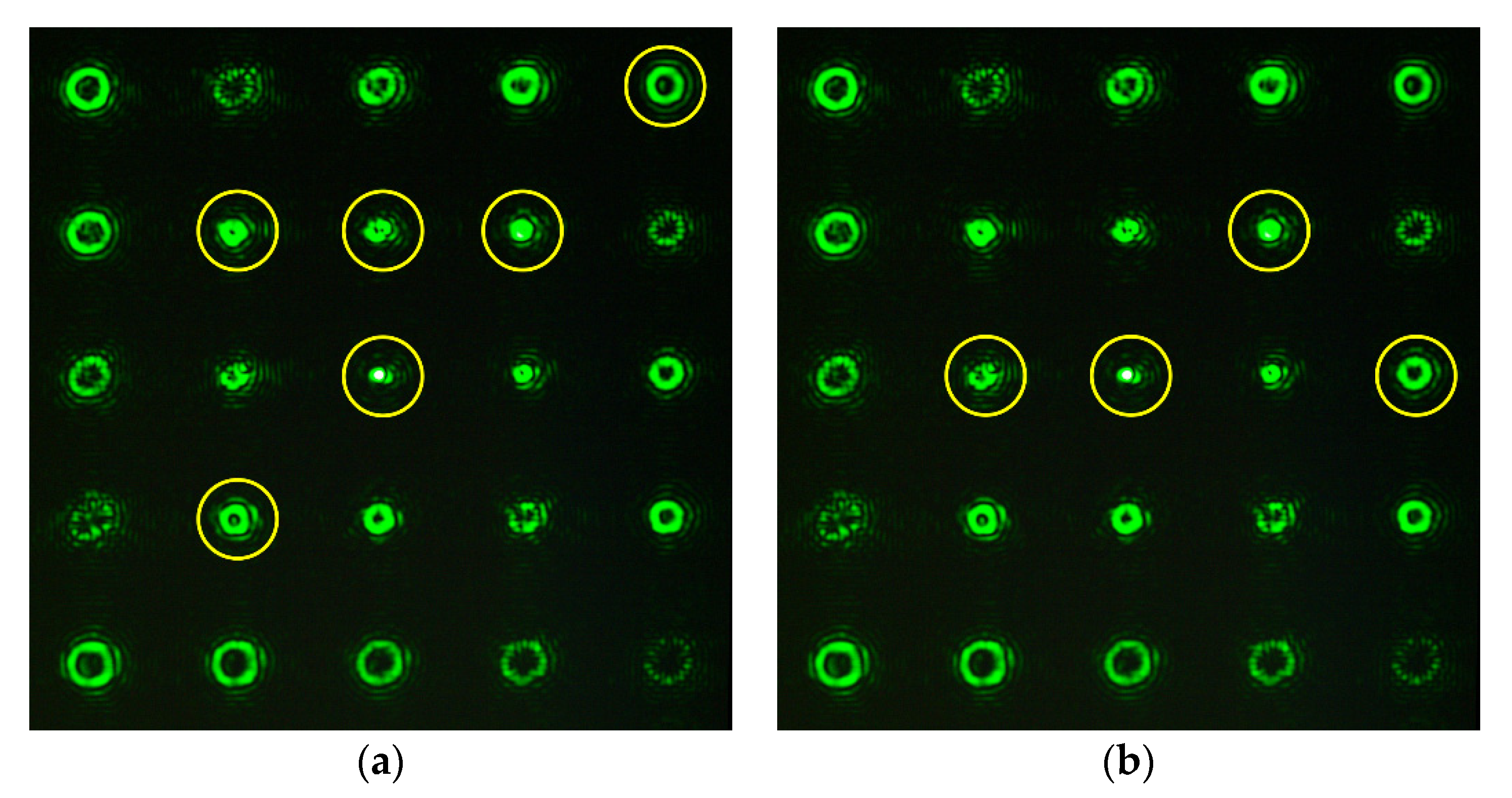 Sensors 20 03850 g010