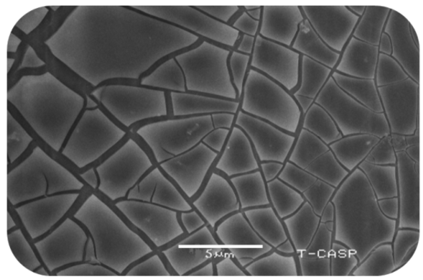 Sensors 20 03931 g011