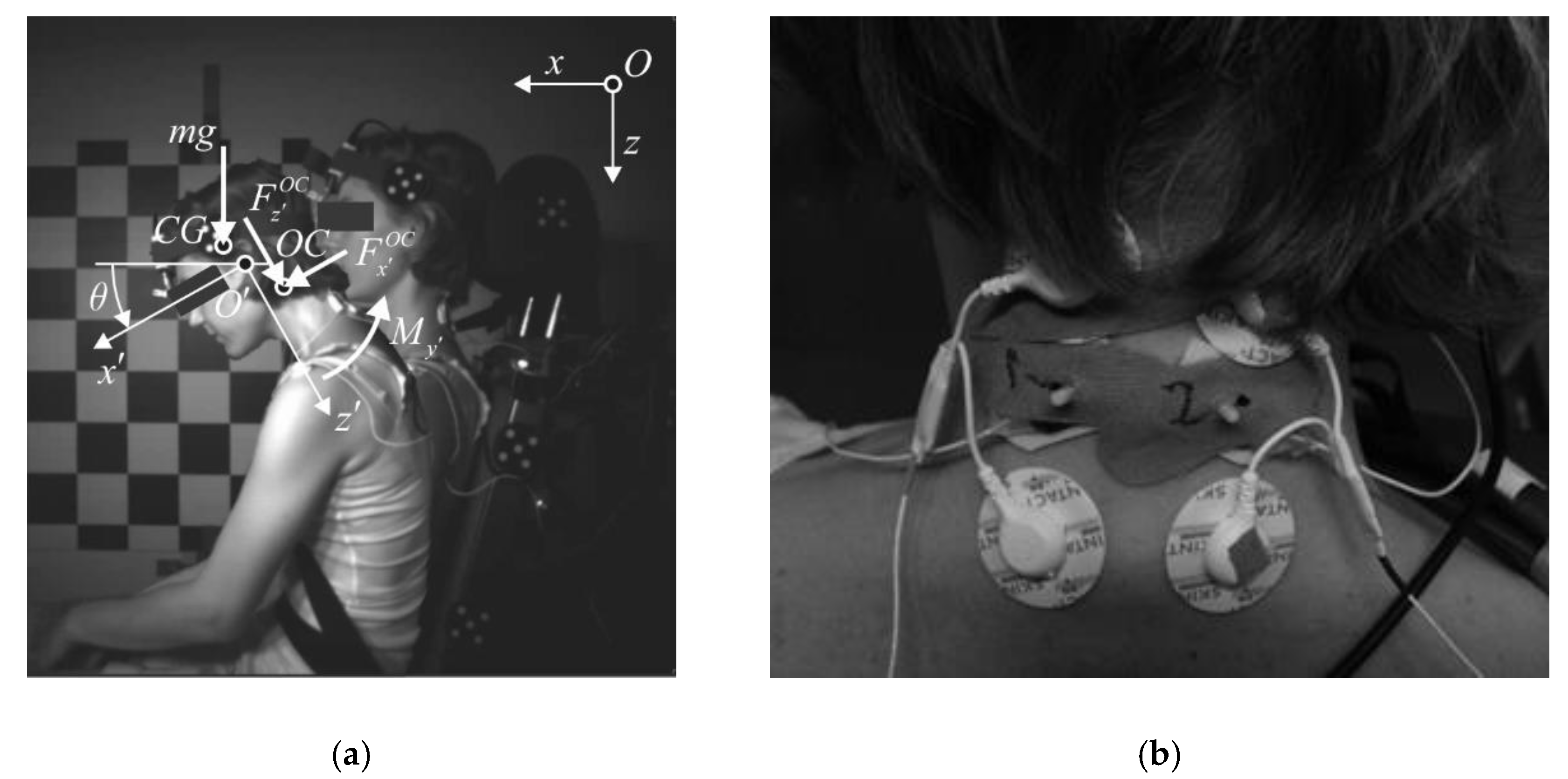 Sensors 20 03942 g001