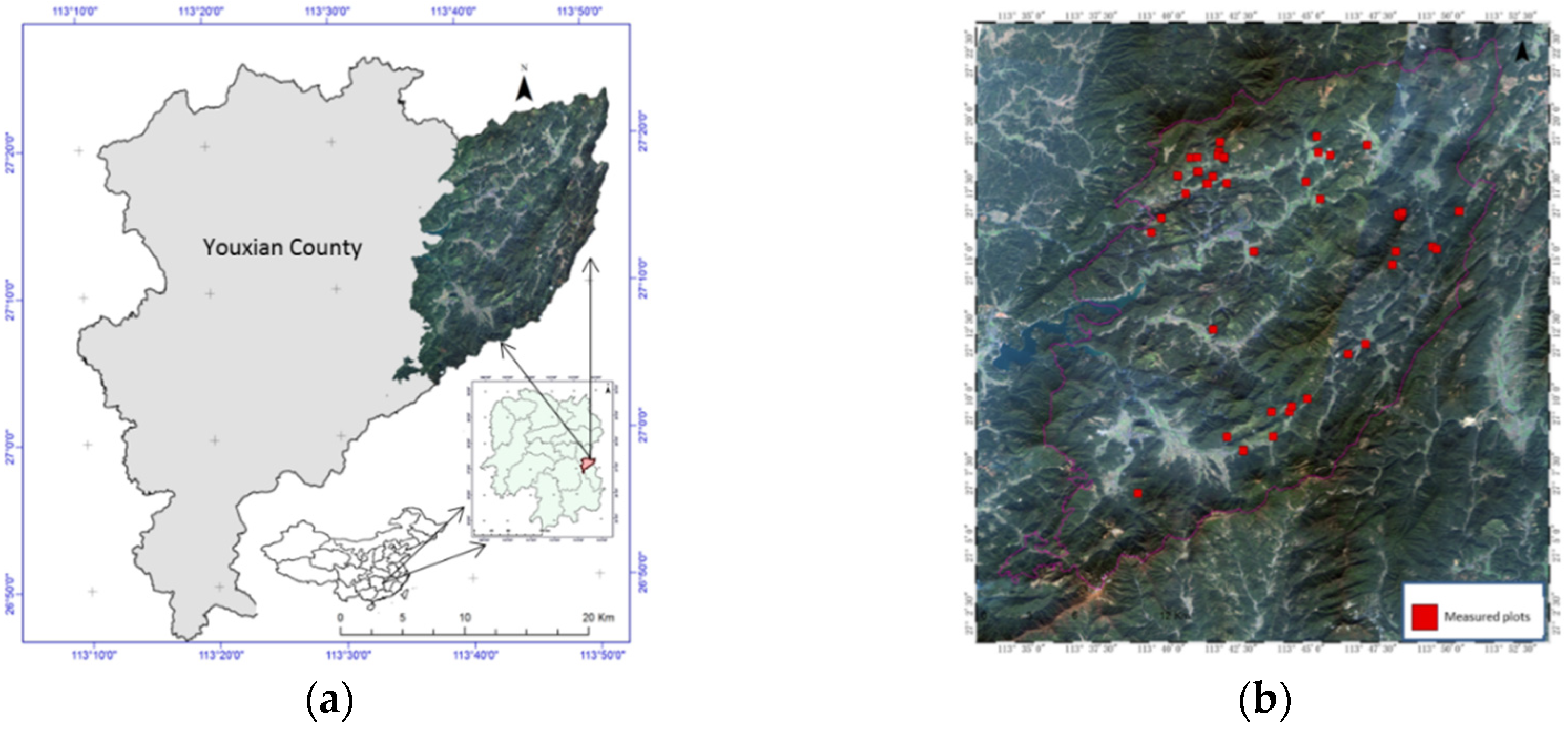 Sensors 20 03957 g001