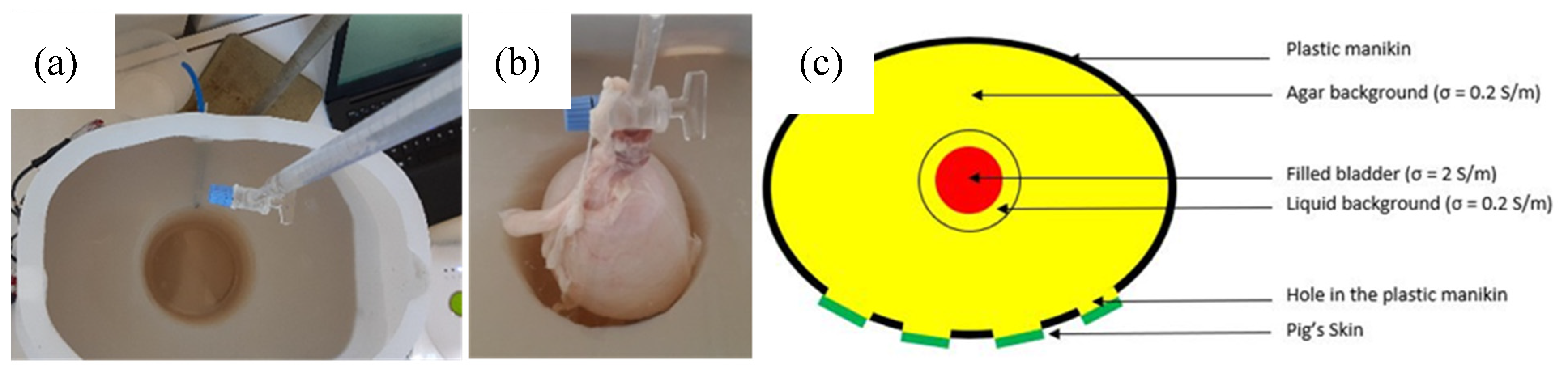 Sensors 20 03980 g003