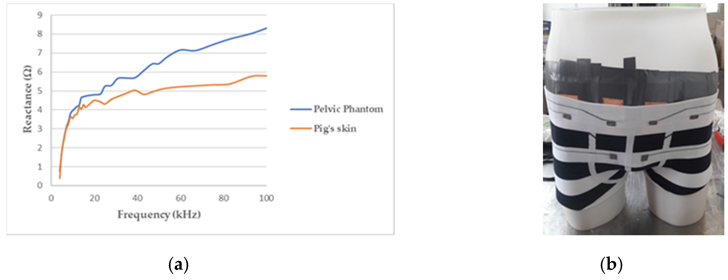 Sensors 20 03980 g004