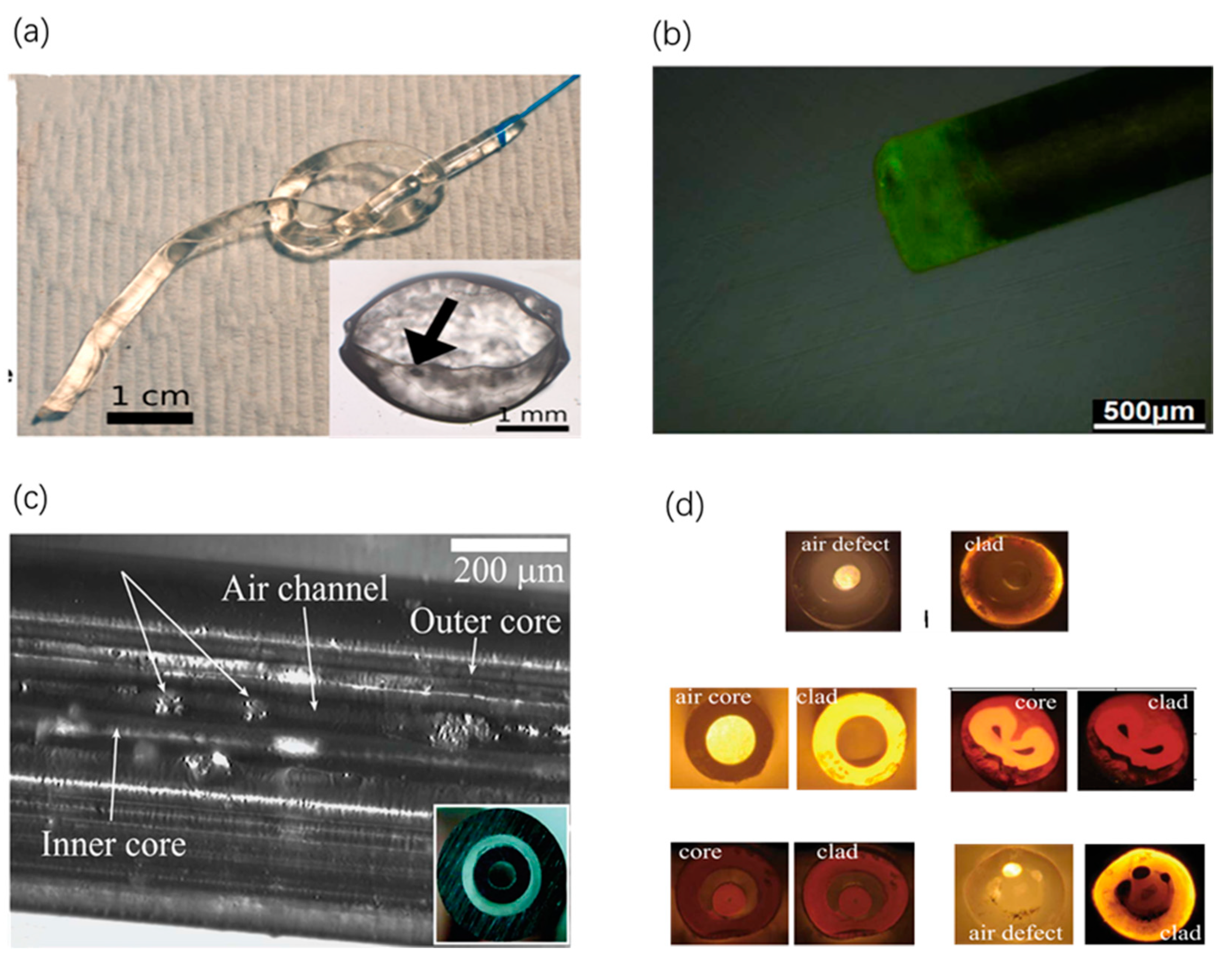 Sensors 20 03981 g002