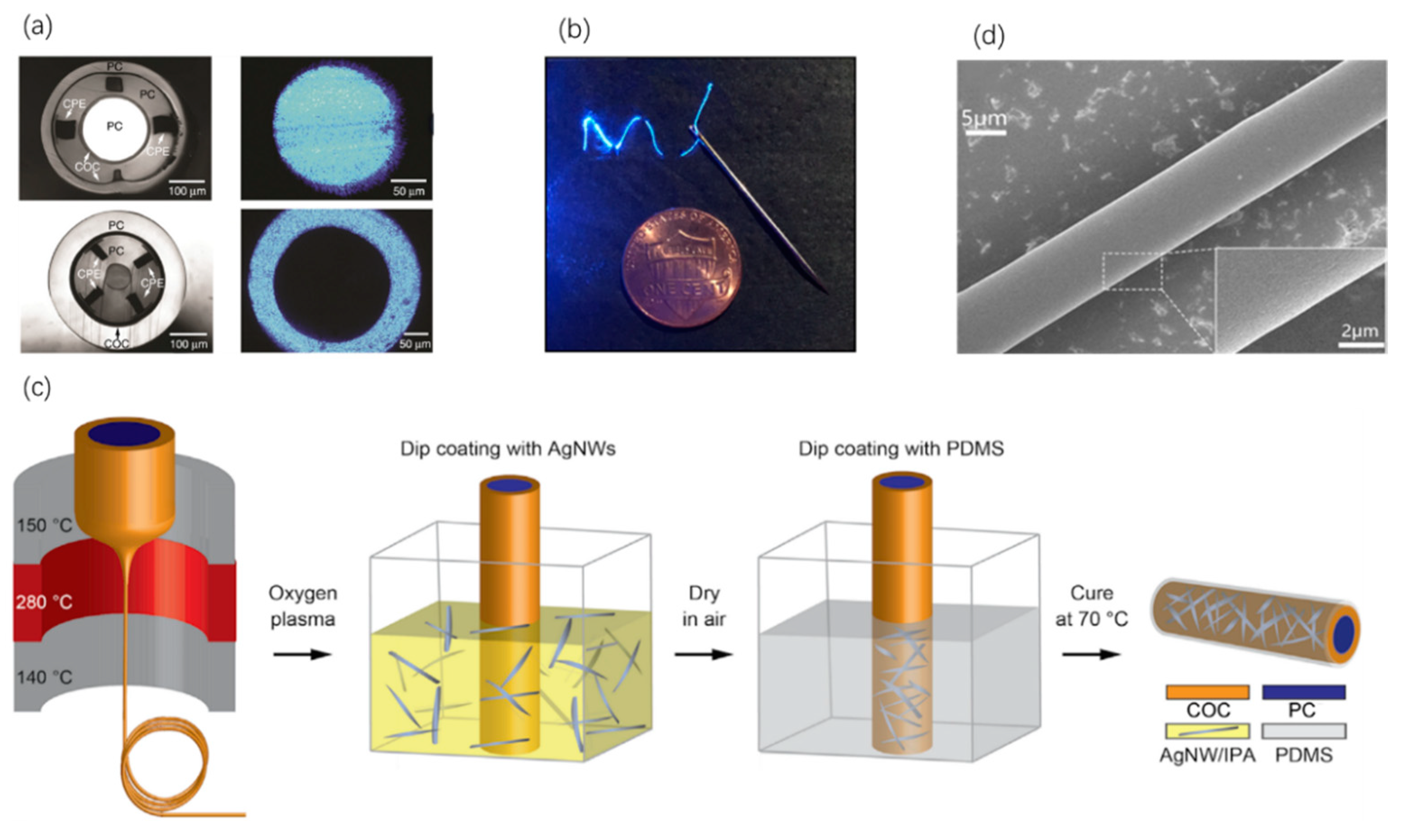 Sensors 20 03981 g004