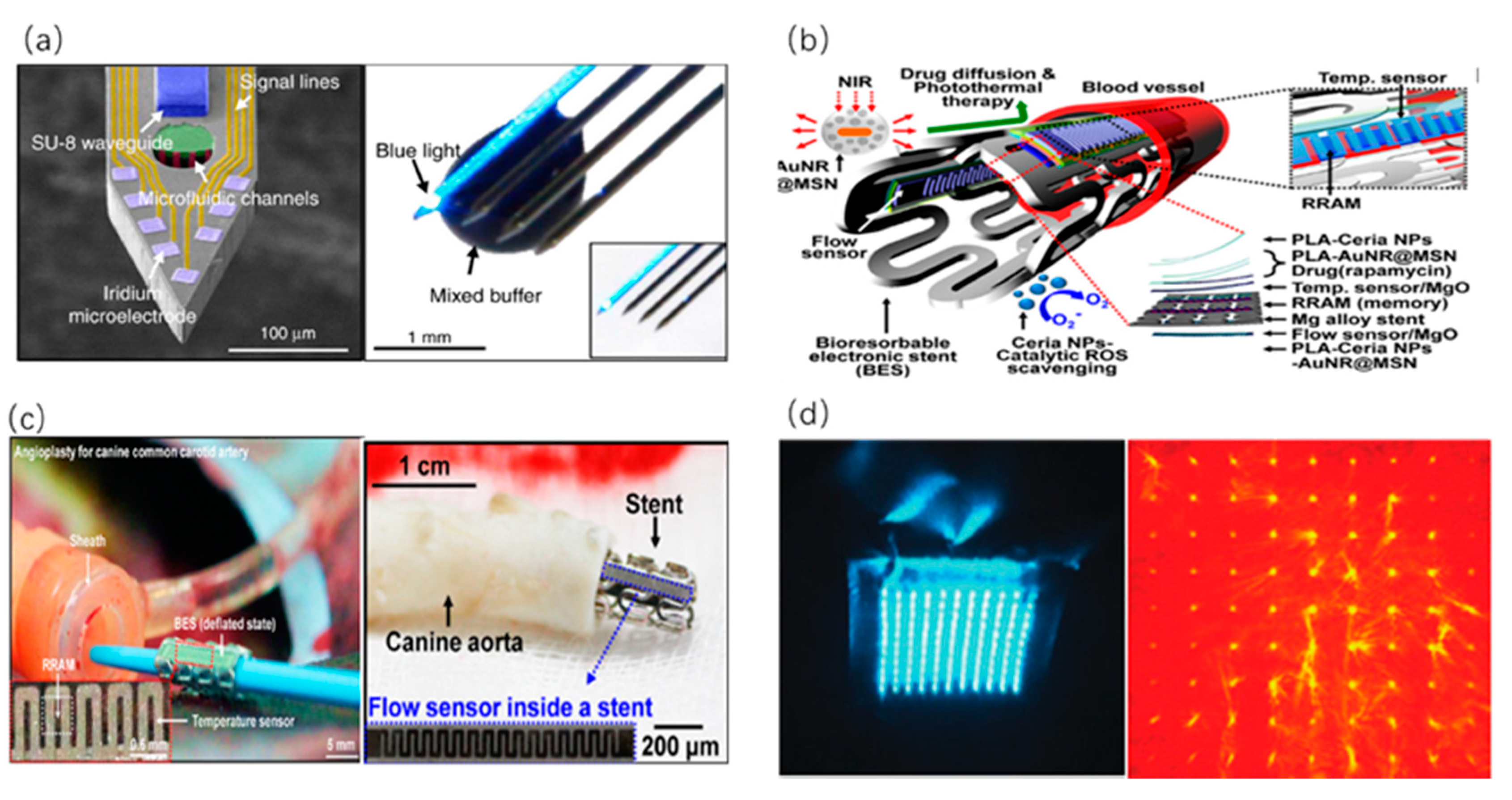 Sensors 20 03981 g005