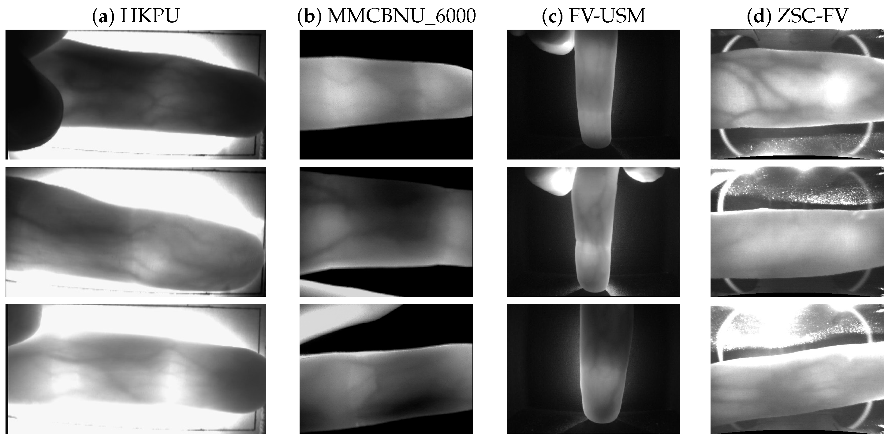 Sensors 20 03997 g005