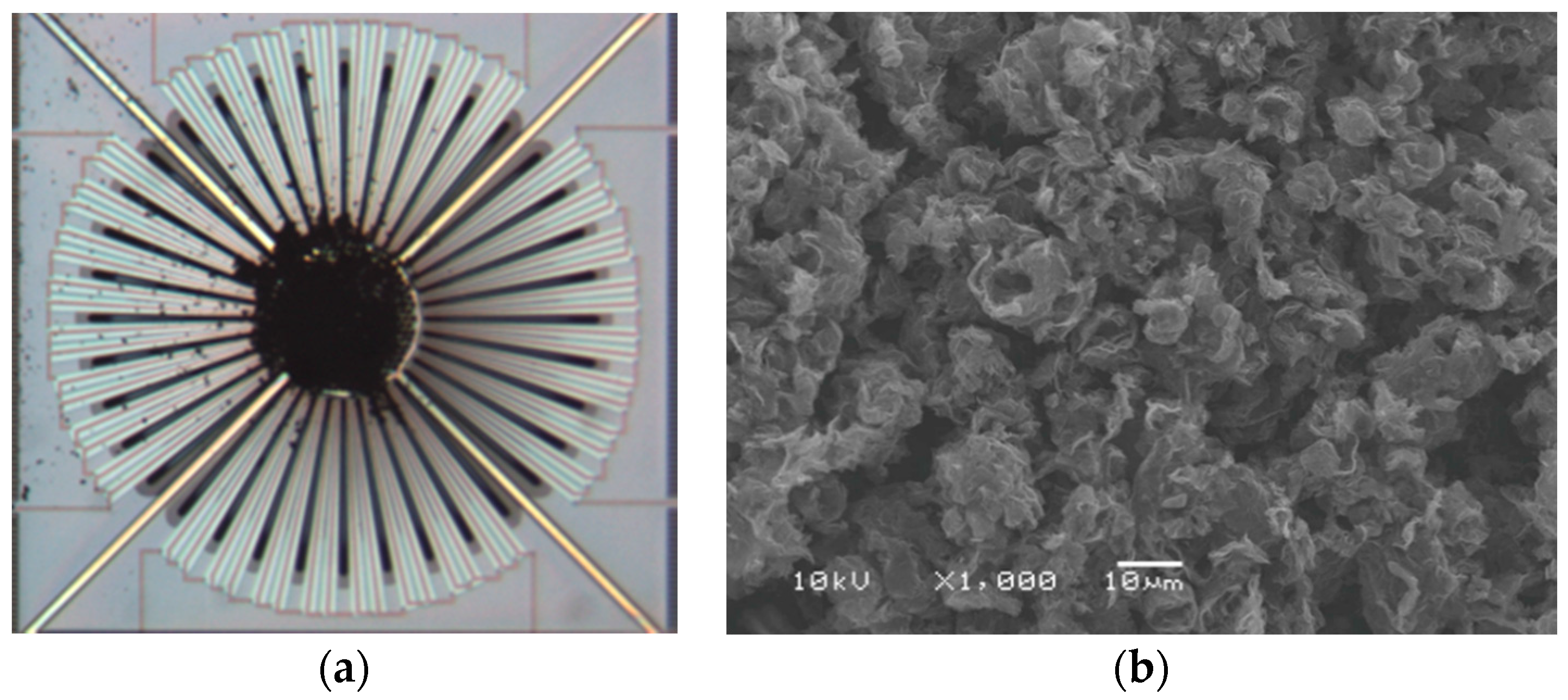 Sensors 20 04007 g004