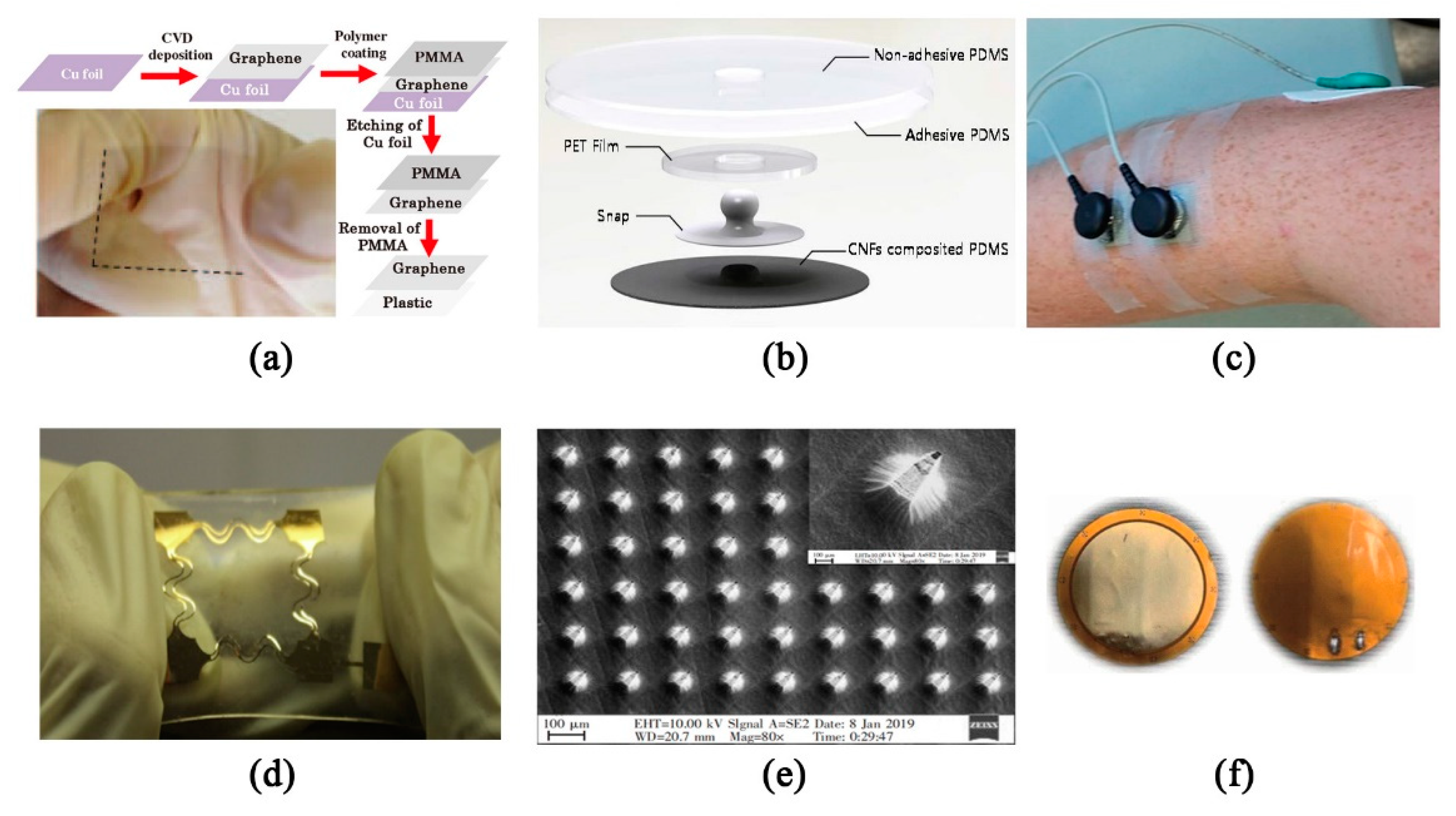 Sensors 20 04009 g001