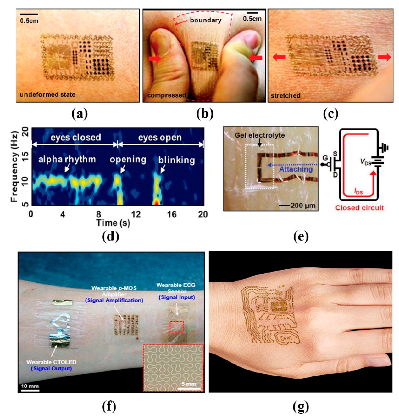 Sensors 20 04009 g004