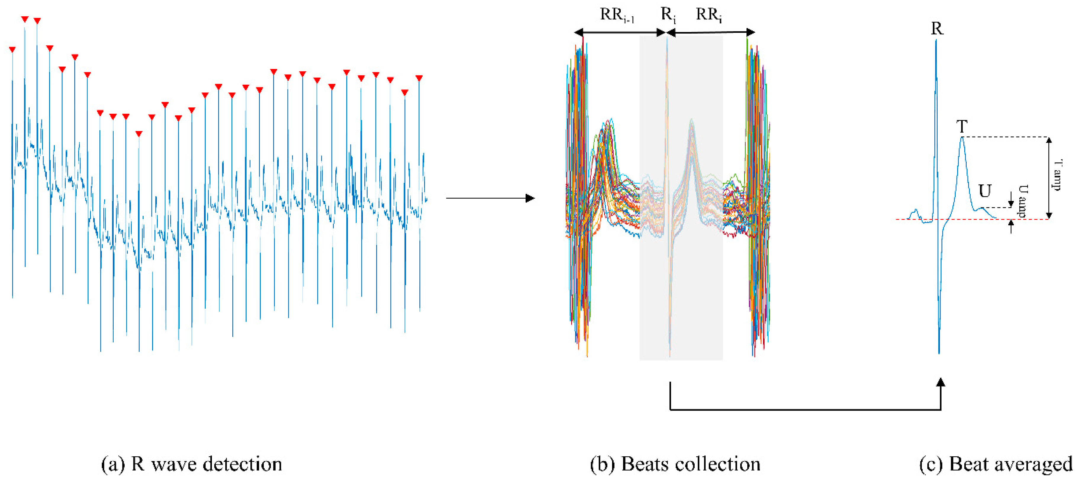 Sensors 20 04029 g002