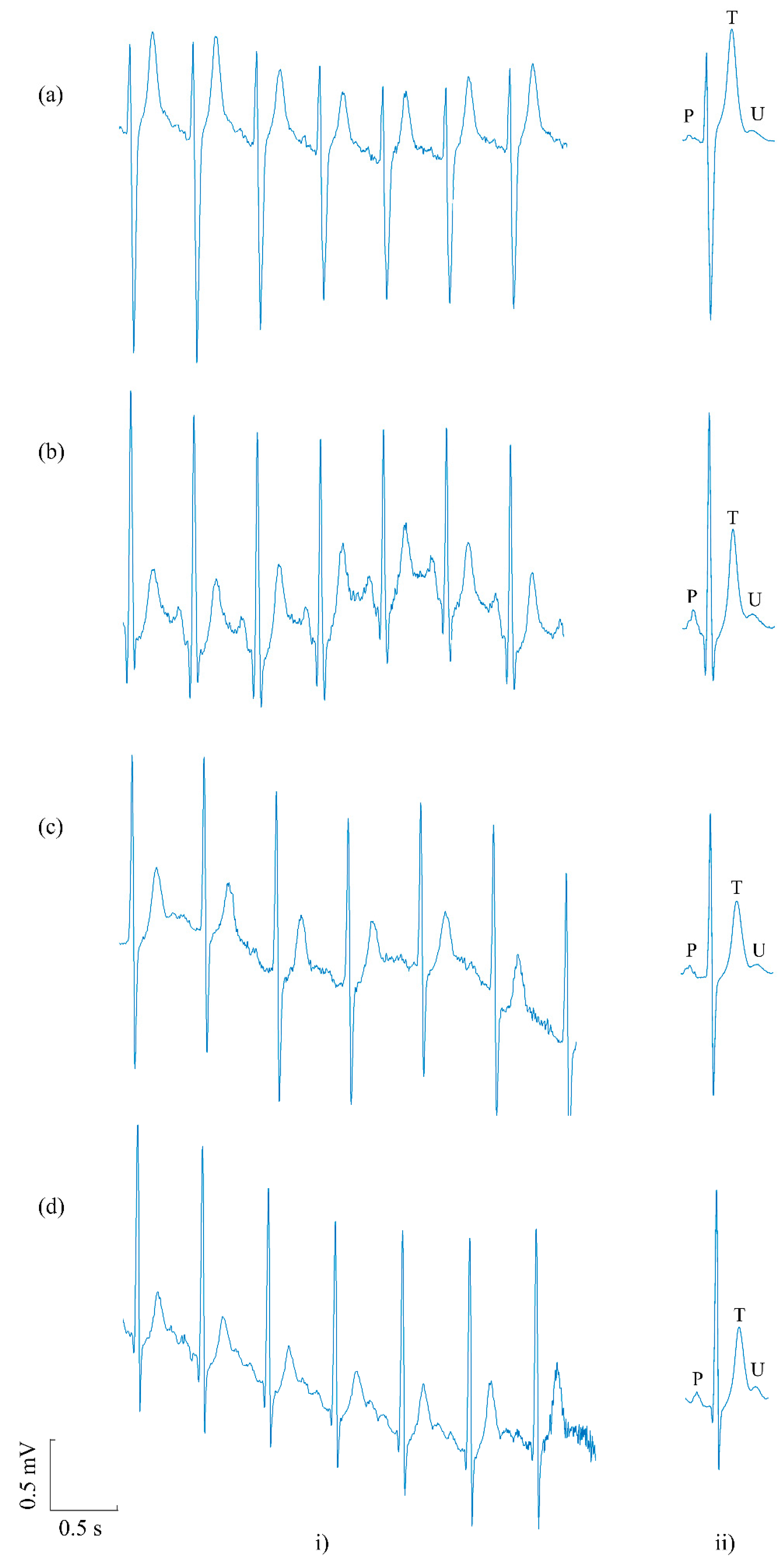 Sensors 20 04029 g003