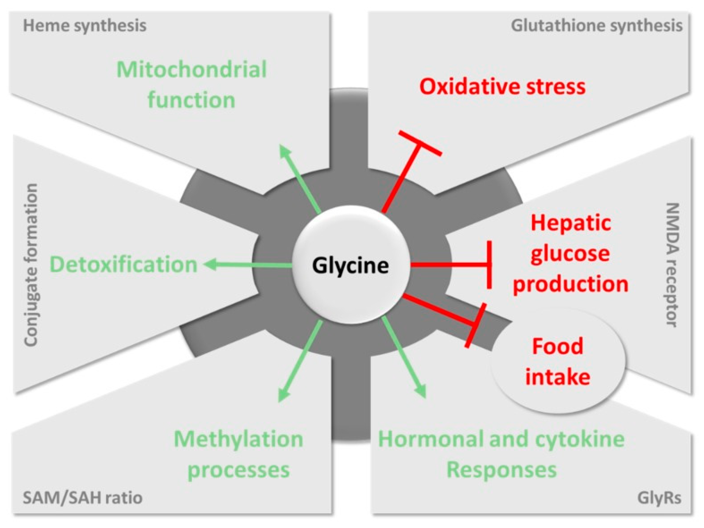 Sensors 20 04049 g001