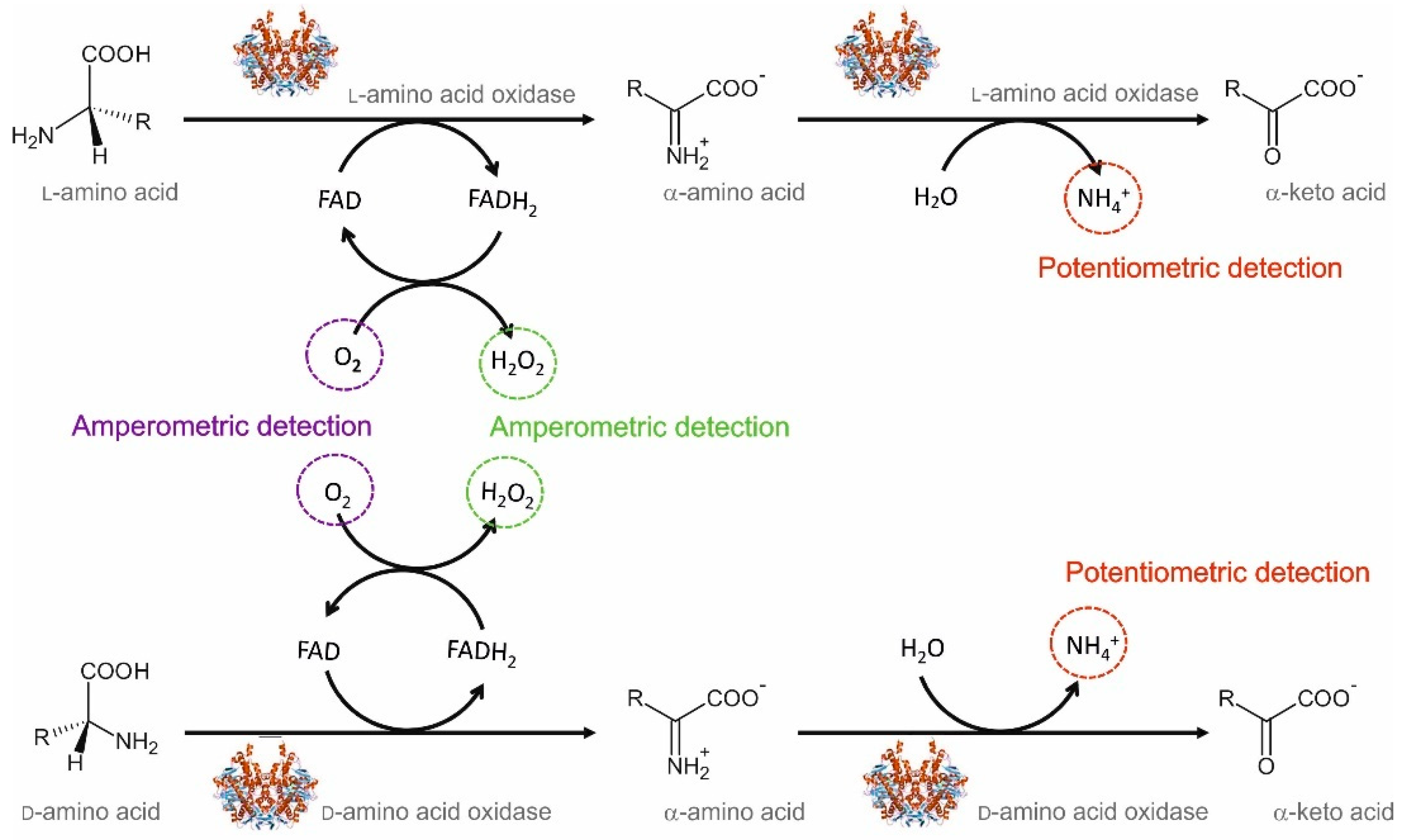Sensors 20 04049 g005