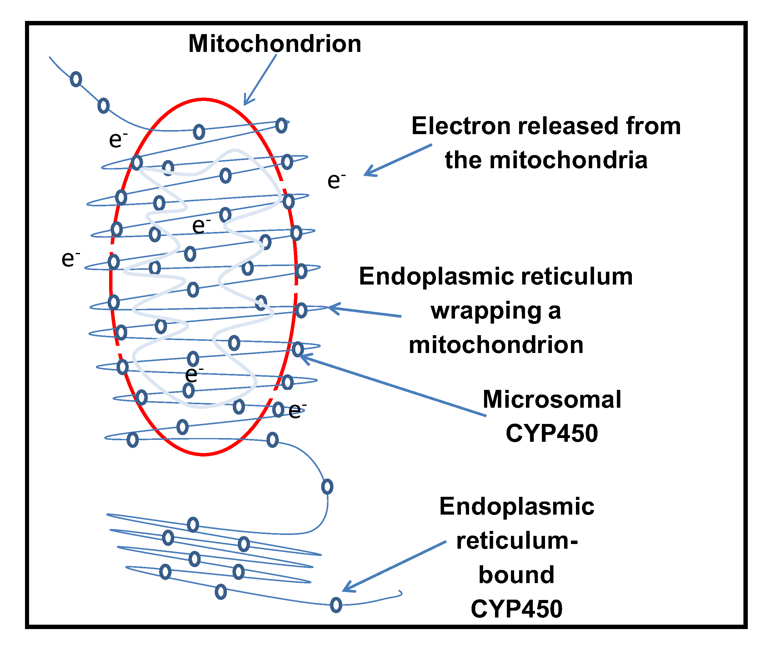 Sensors 20 04050 g008
