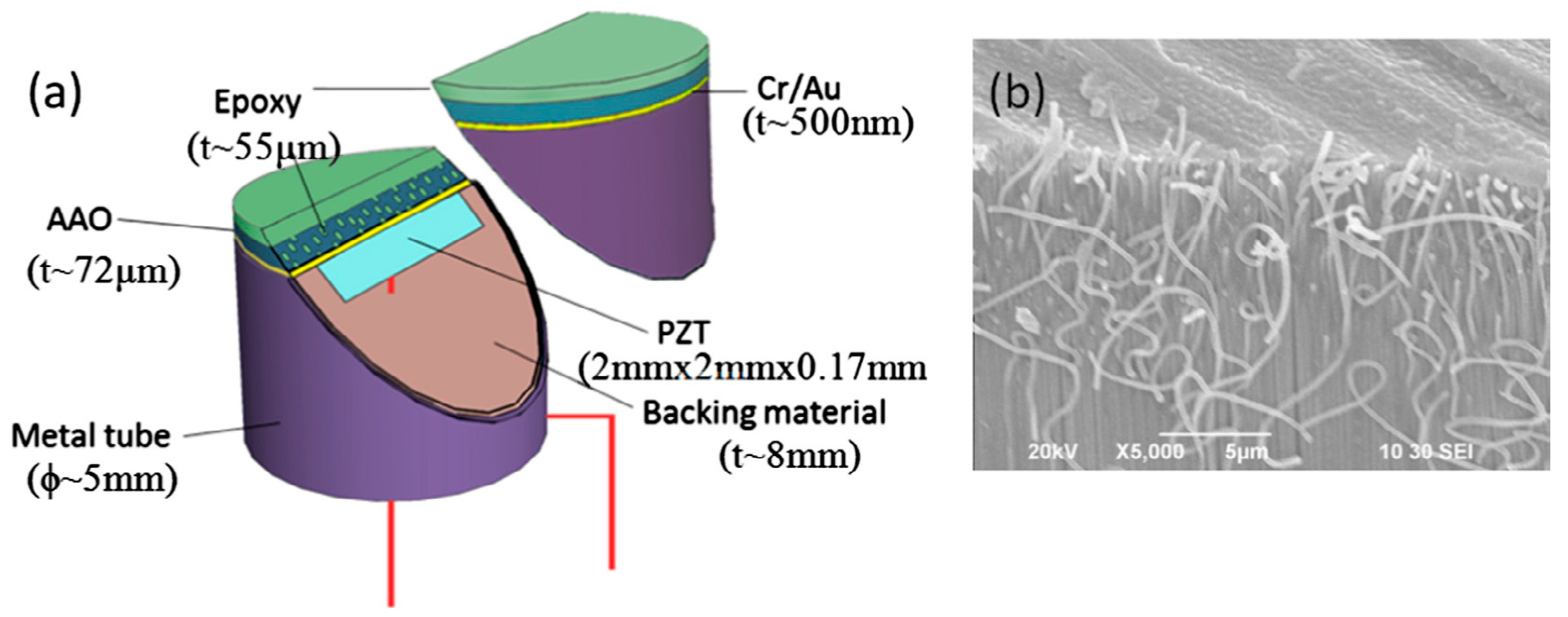 Sensors 20 04051 g009