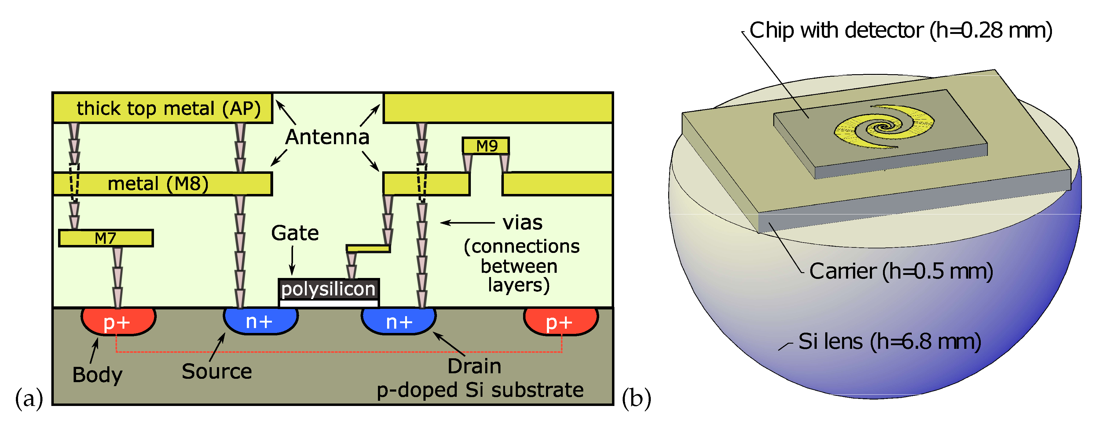 Sensors 20 04087 g001