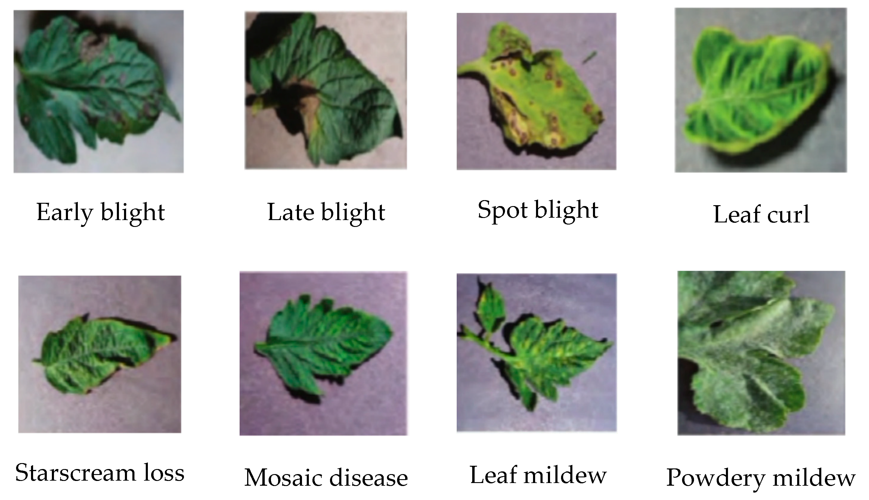 Sensors 20 04091 g007