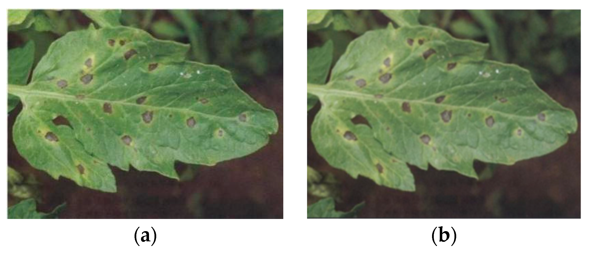 Sensors 20 04091 g008