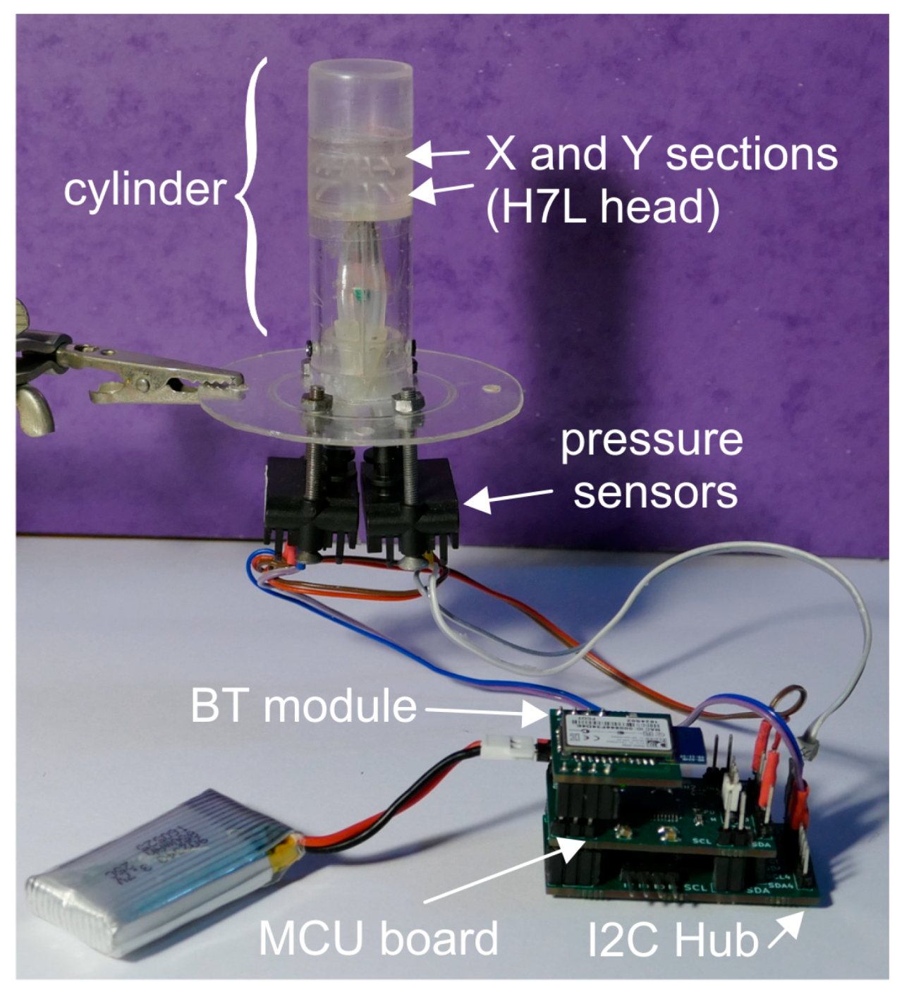 Sensors 20 04094 g005