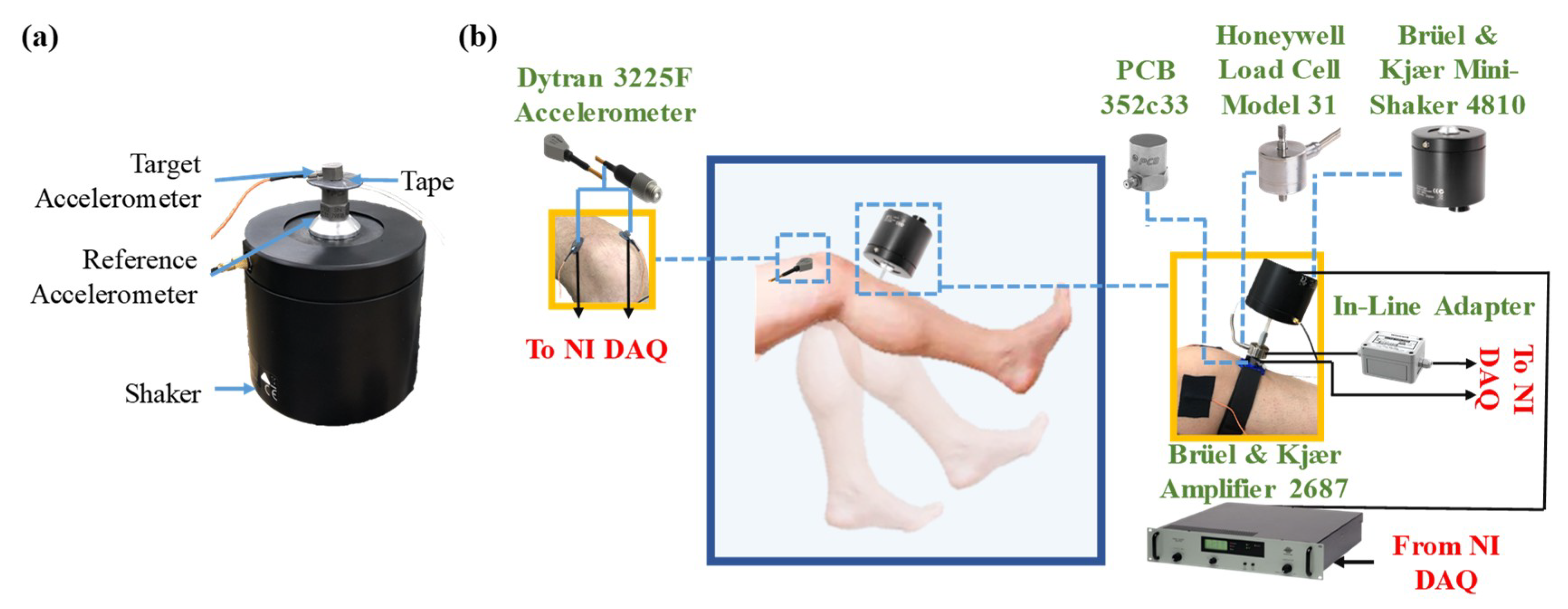 Sensors 20 04138 g001