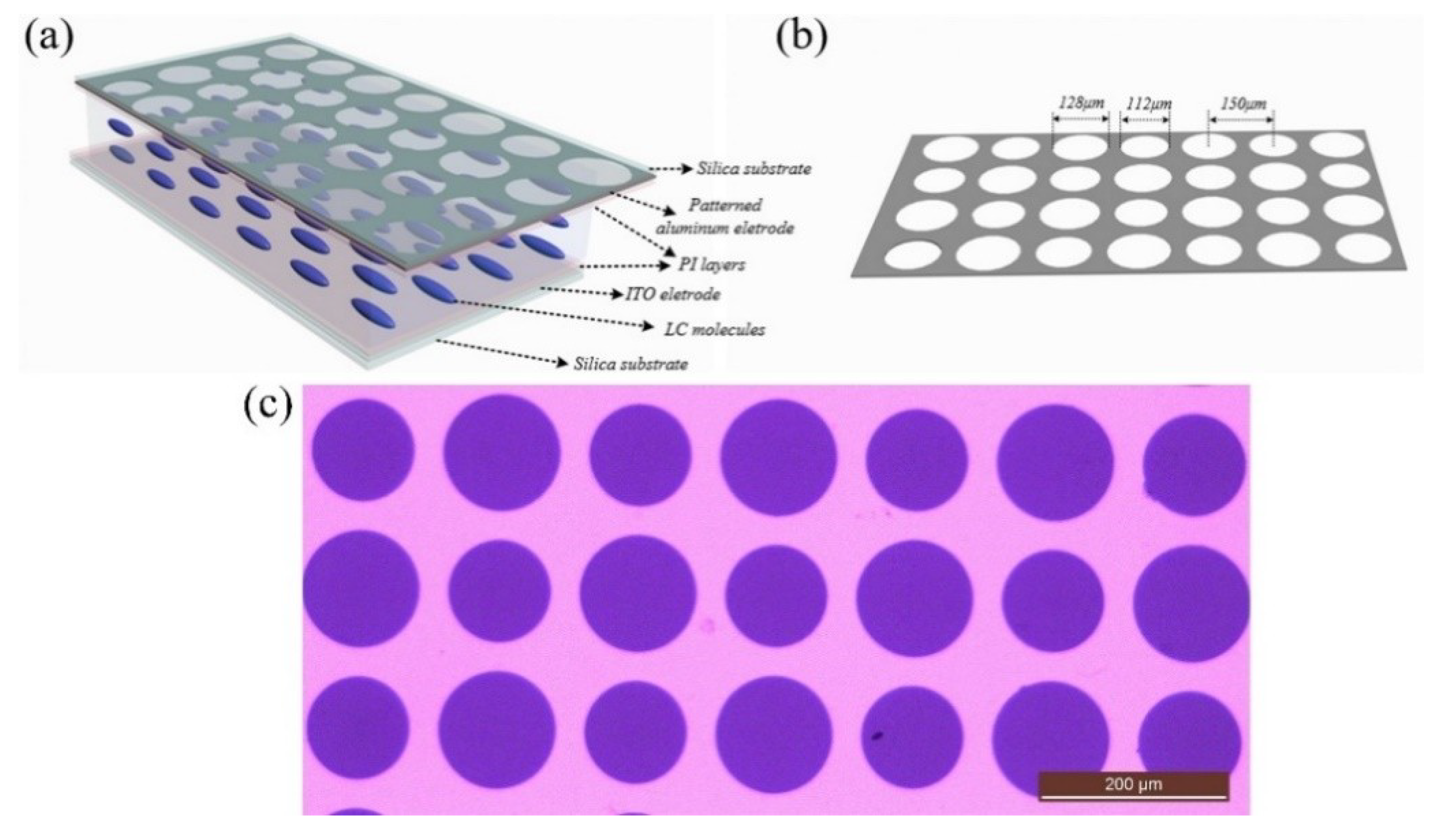 Sensors 20 04142 g001