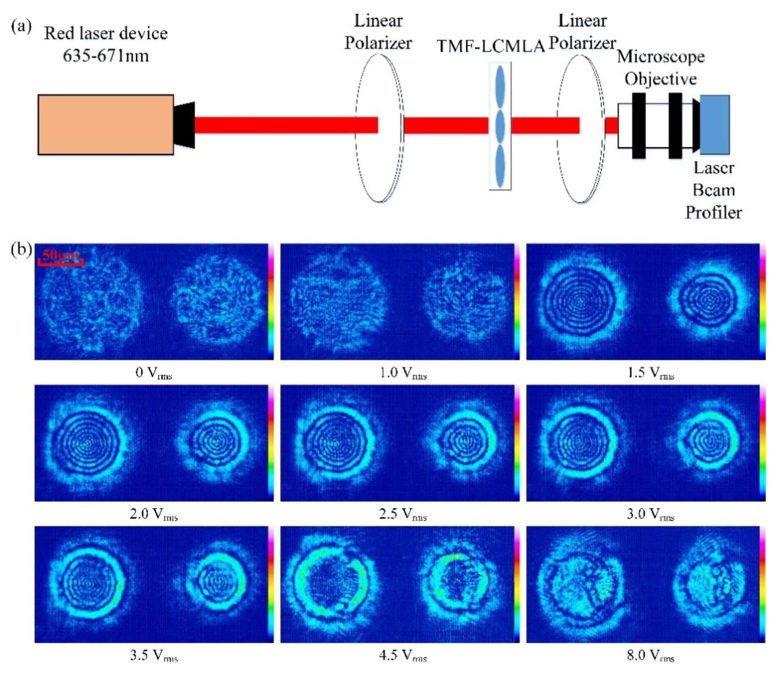 Sensors 20 04142 g005