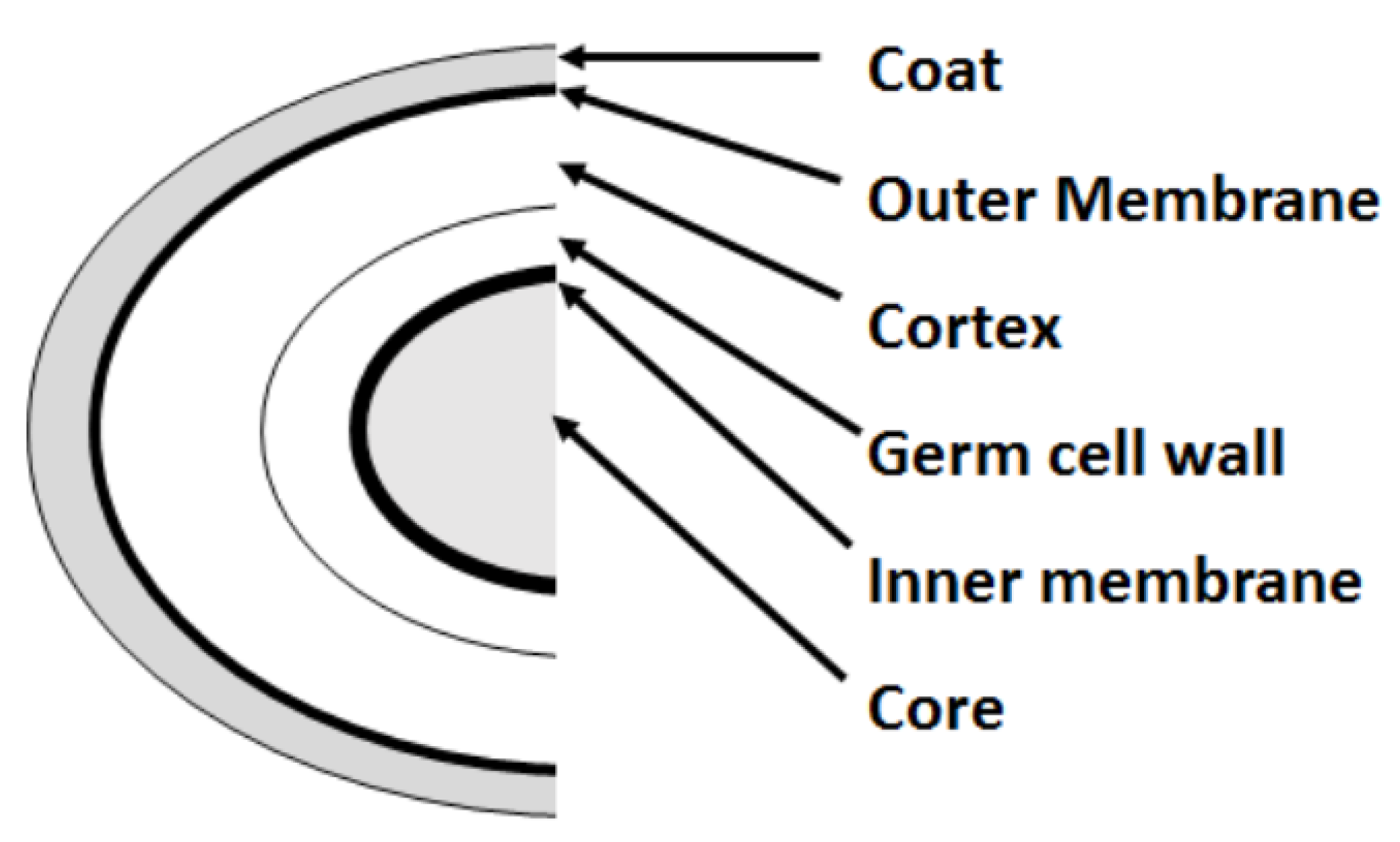 Sensors 20 04150 g001