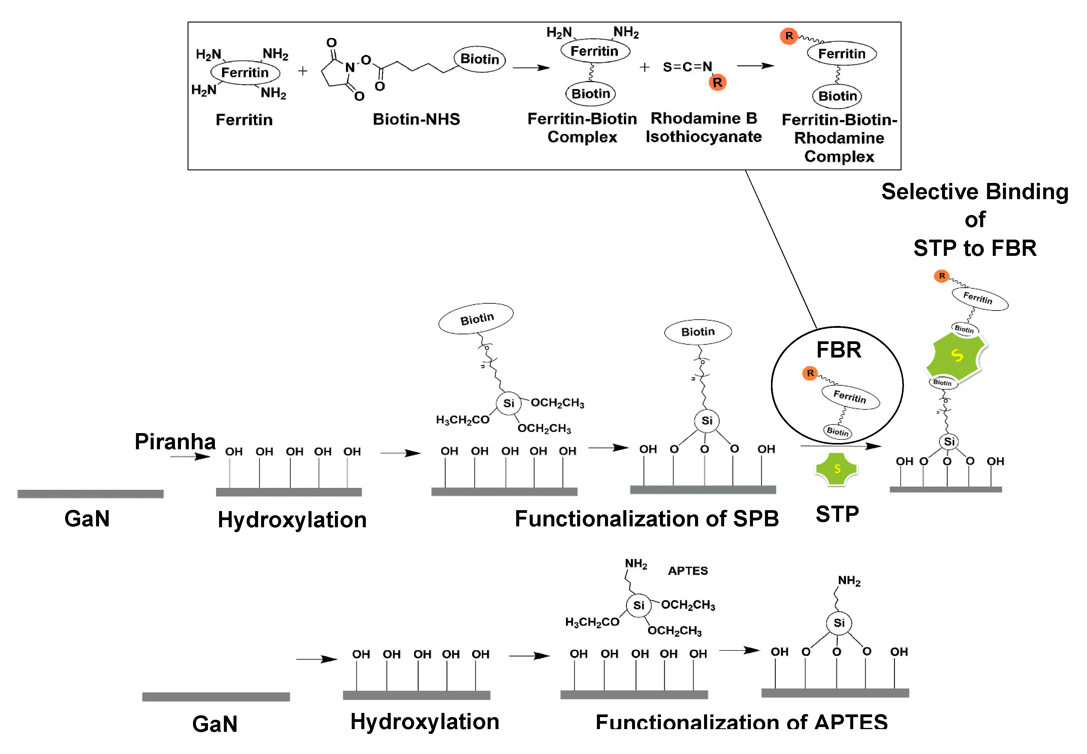 Sensors 20 04179 g001 Sensors 20 04179 g001