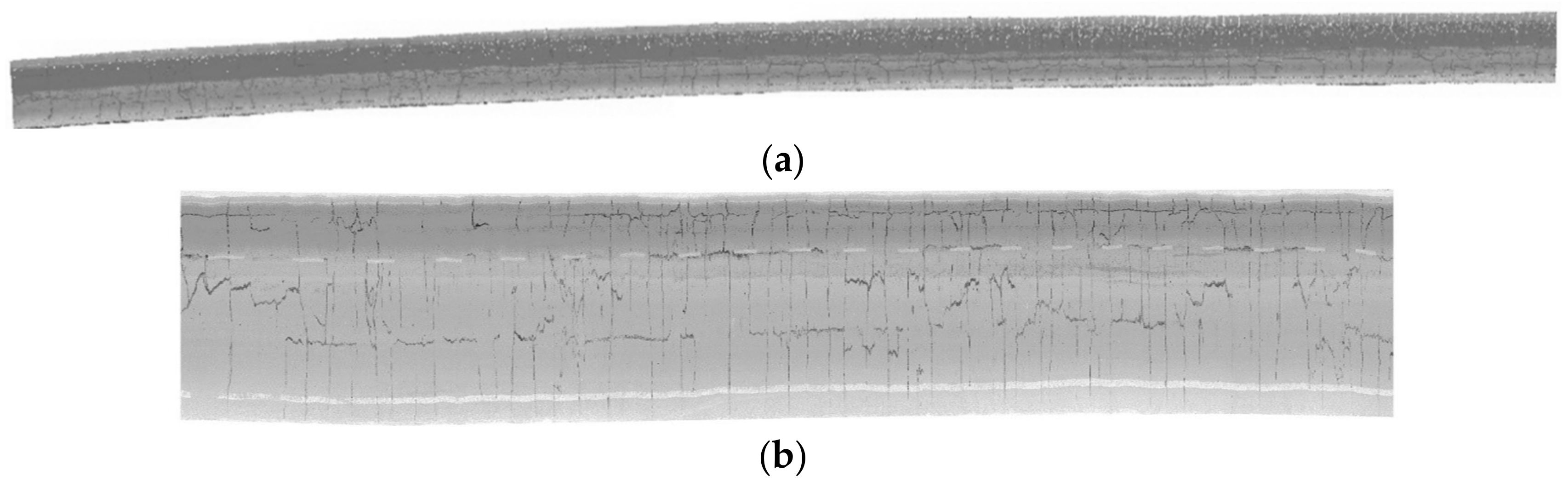 Sensors 20 04198 g012