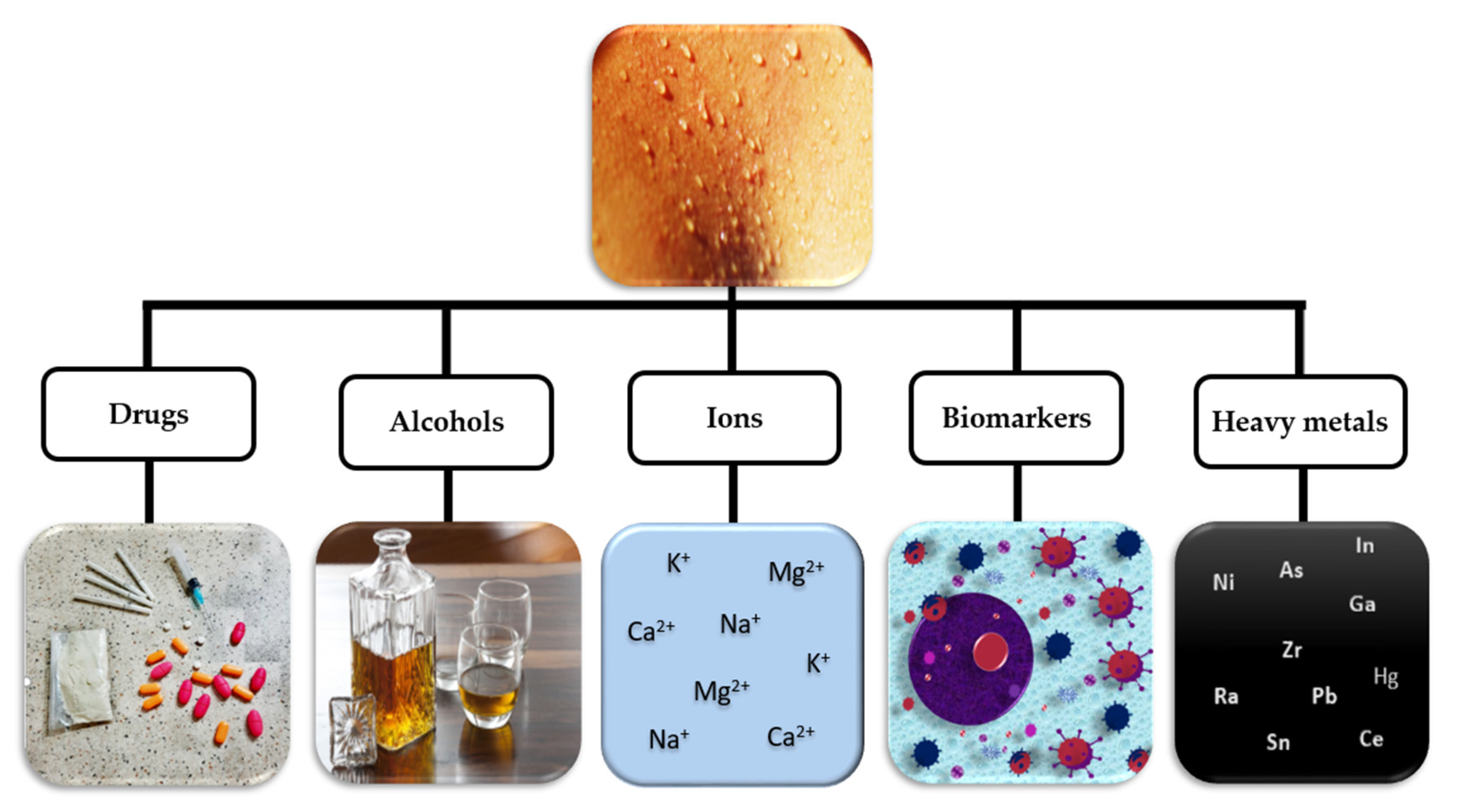 Sensors 20 04236 g003 Sensors 20 04236 g003