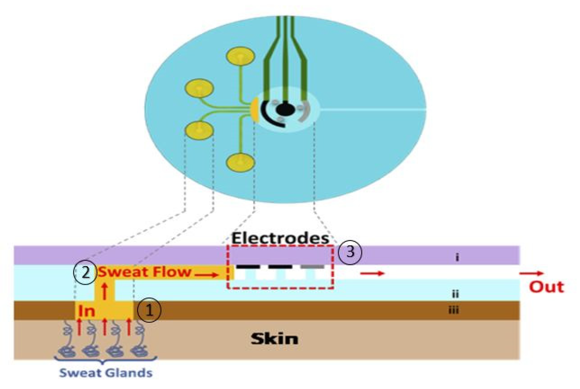 Sensors 20 04236 g005 Sensors 20 04236 g005