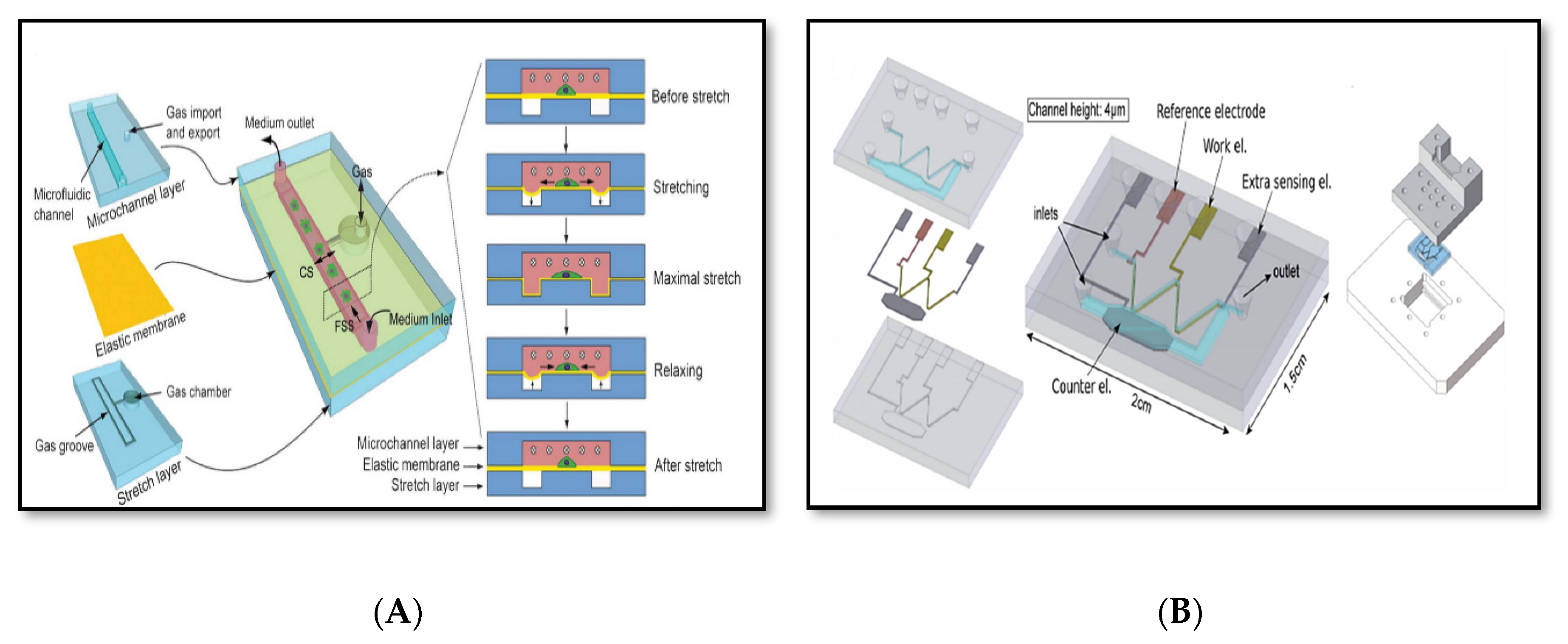 Sensors 20 04236 g006 Sensors 20 04236 g006