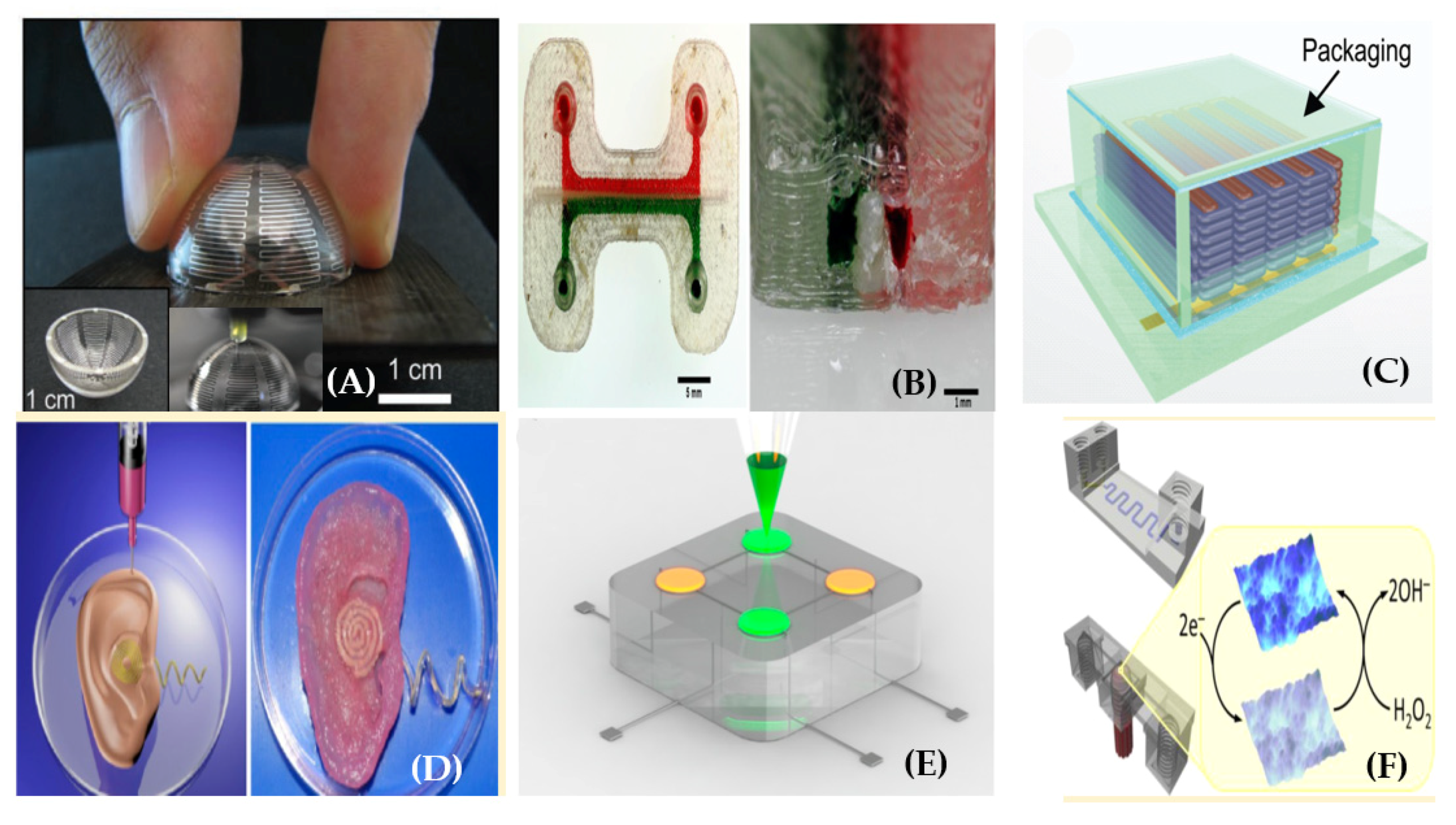 Sensors 20 04236 g010 Sensors 20 04236 g010