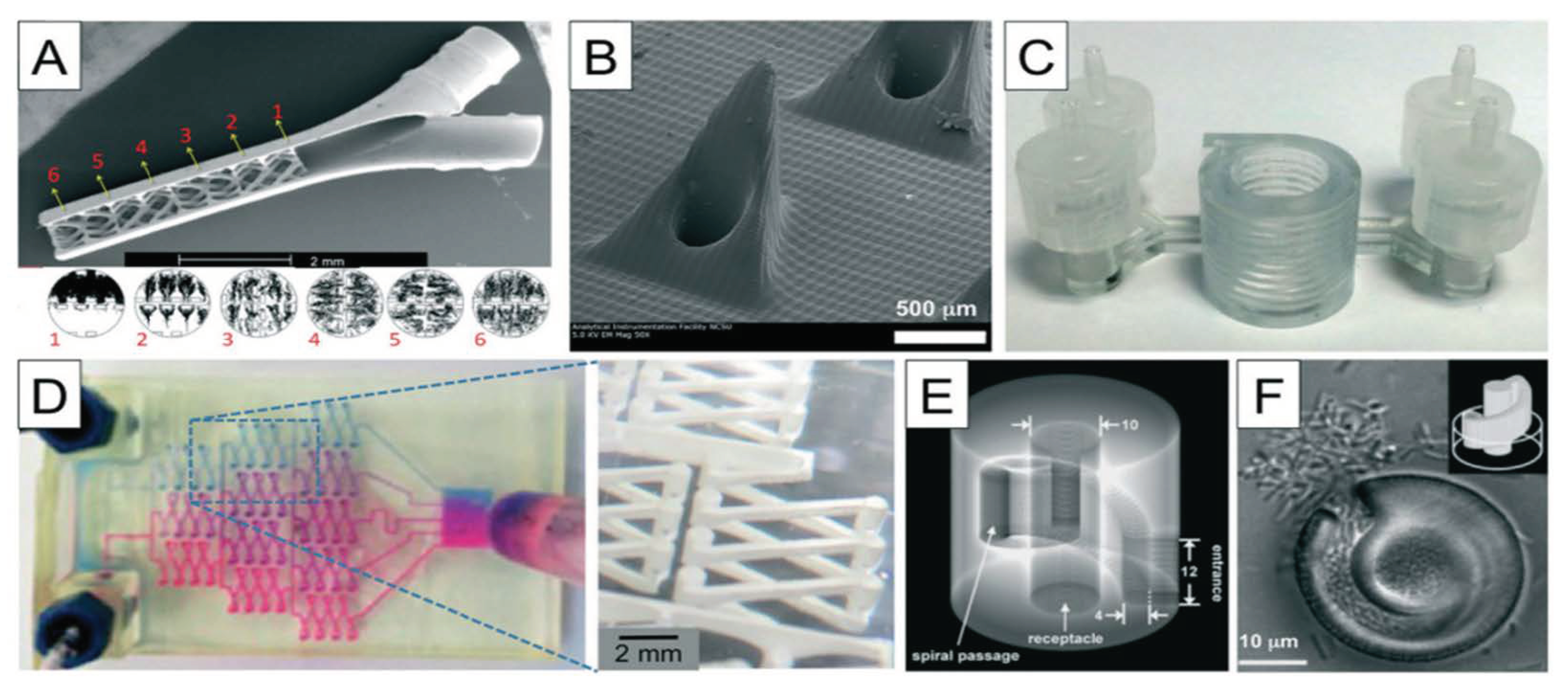 Sensors 20 04236 g015 Sensors 20 04236 g015