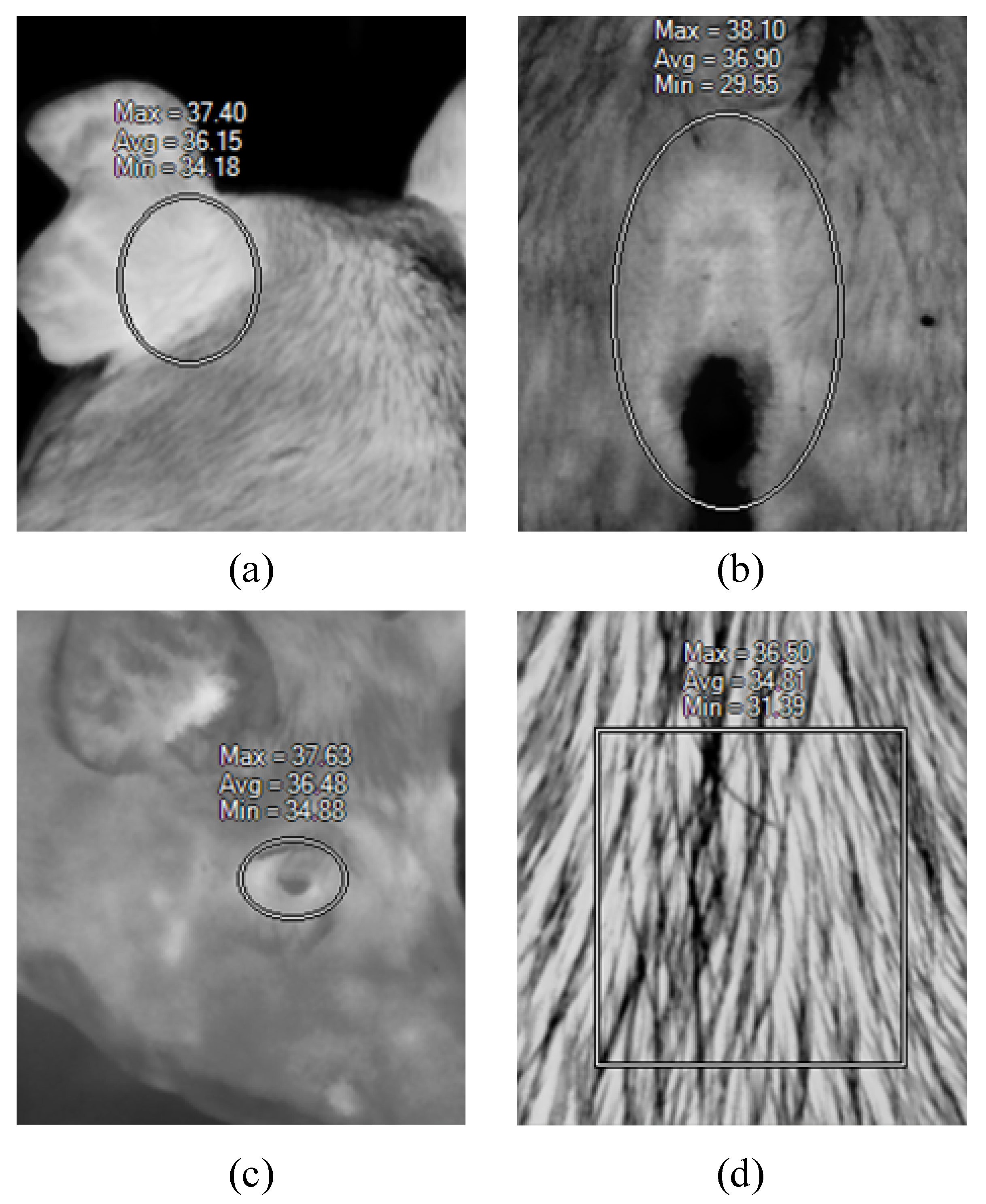 Sensors 20 04282 g001