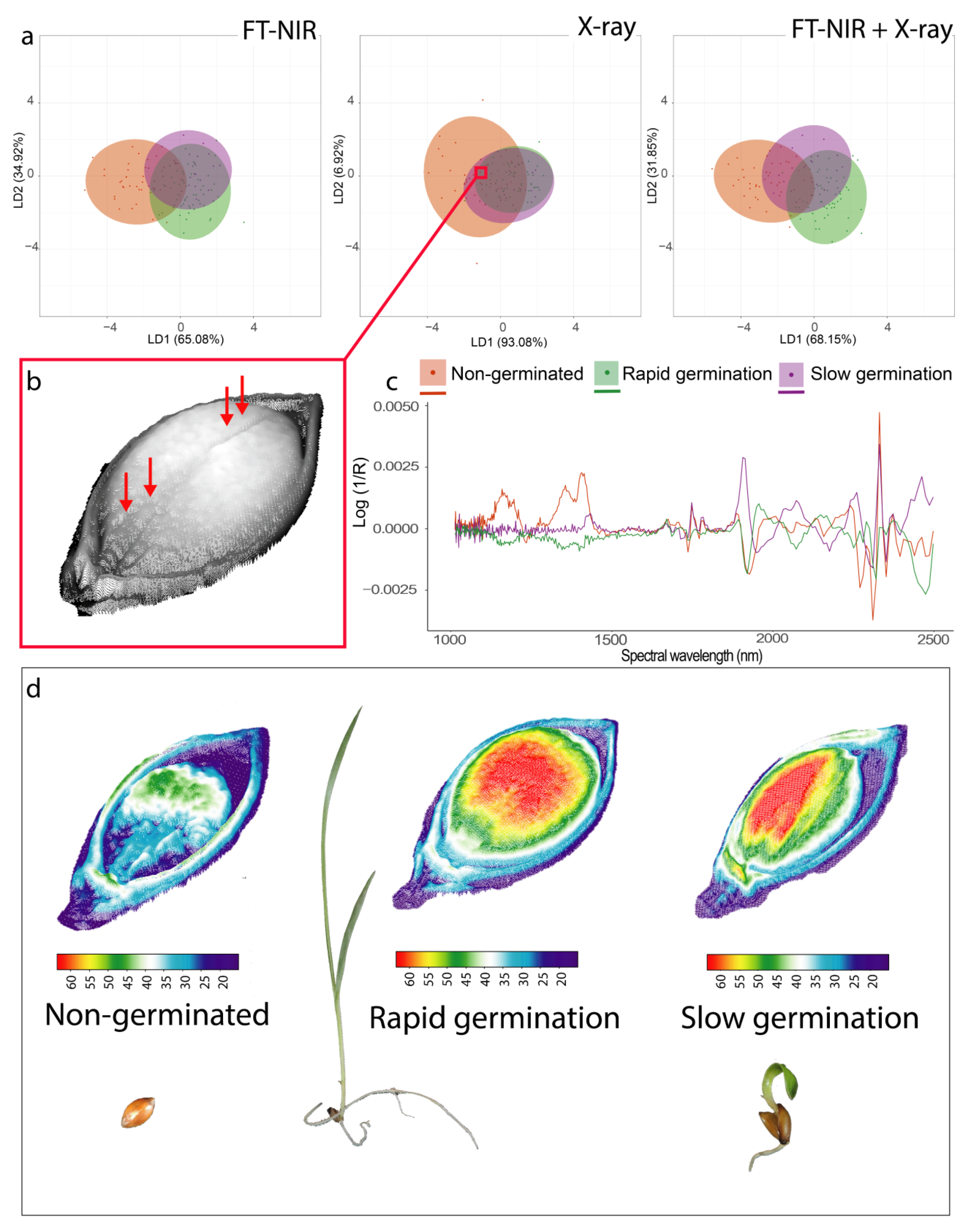 Sensors 20 04319 g002