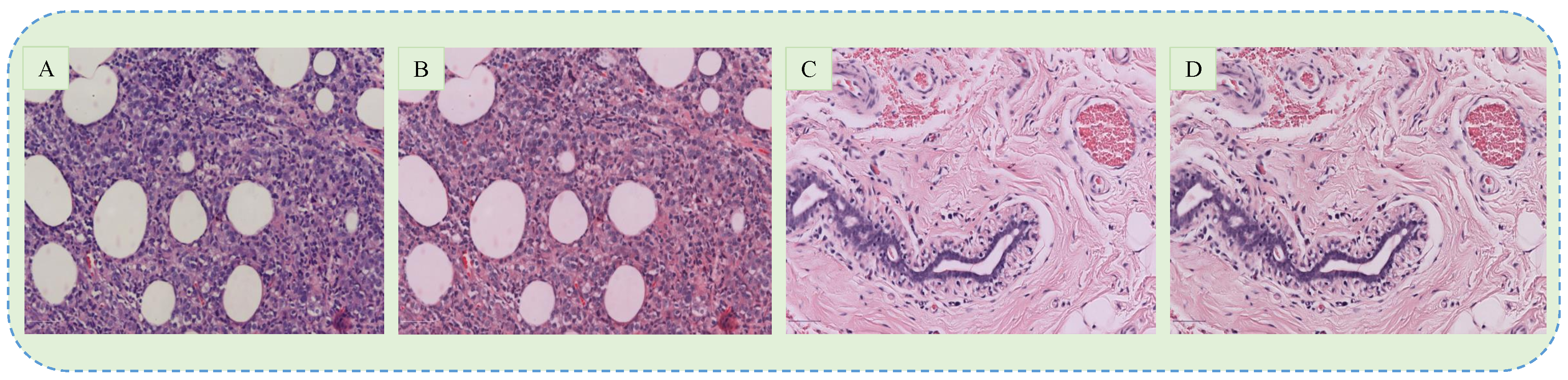 Sensors 20 04373 g002